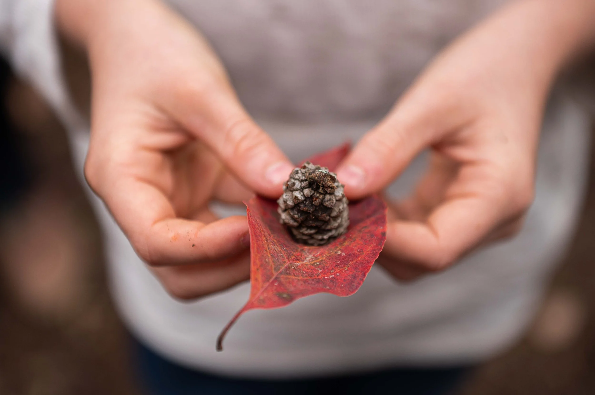 Snoek fall 2021-99.jpg