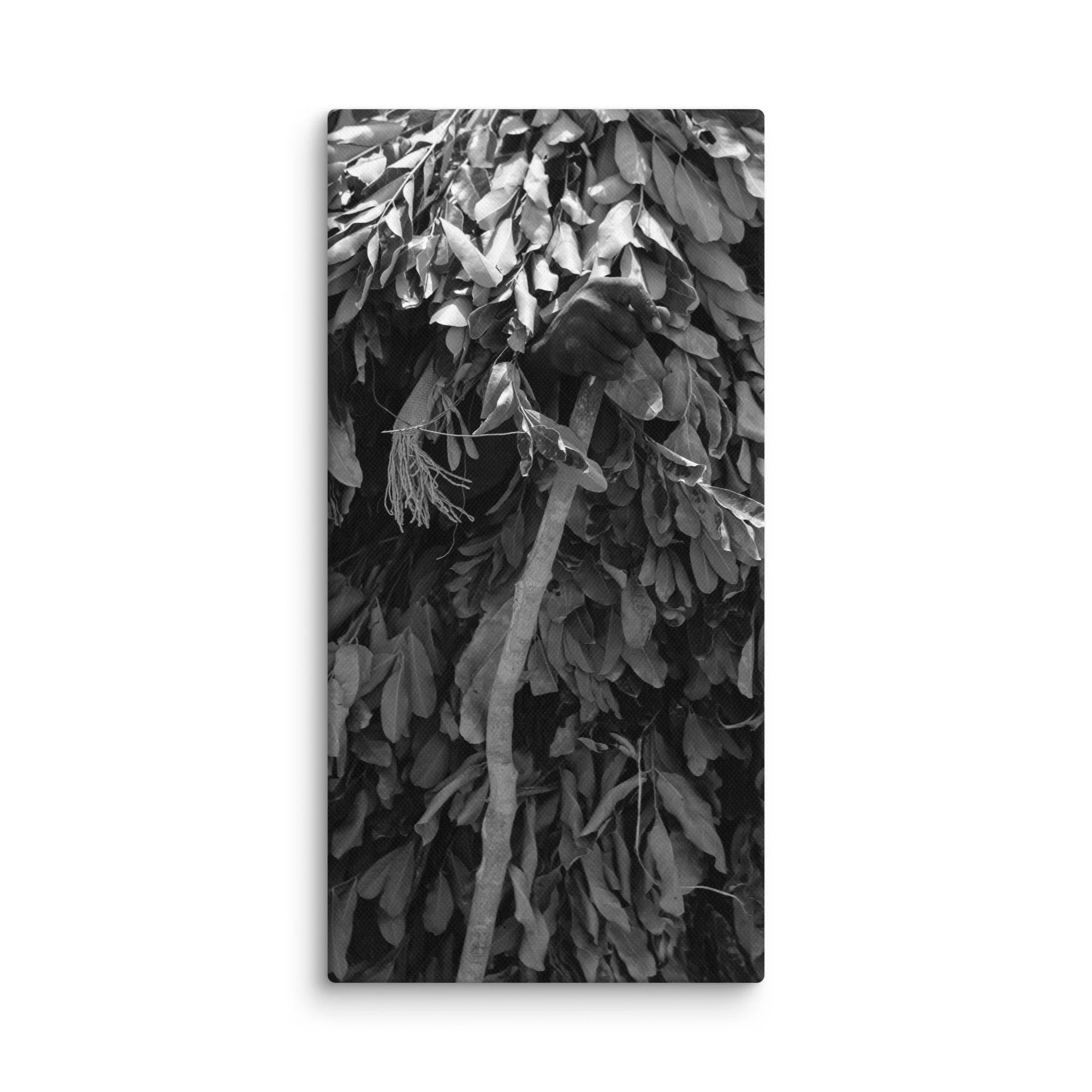 canvas-(in)-10x20-wall-68aa60078f569.jpg
