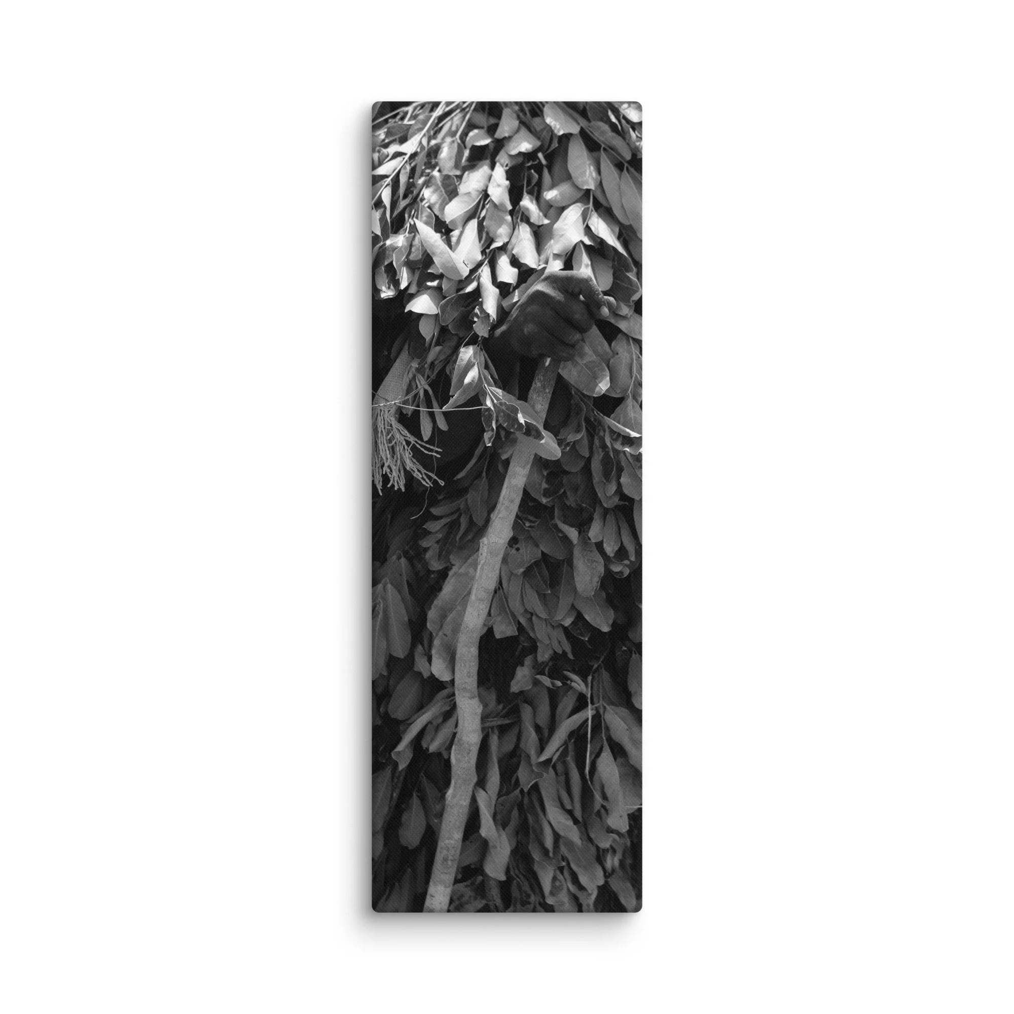 canvas-(in)-12x36-wall-68aa60078f717.jpg