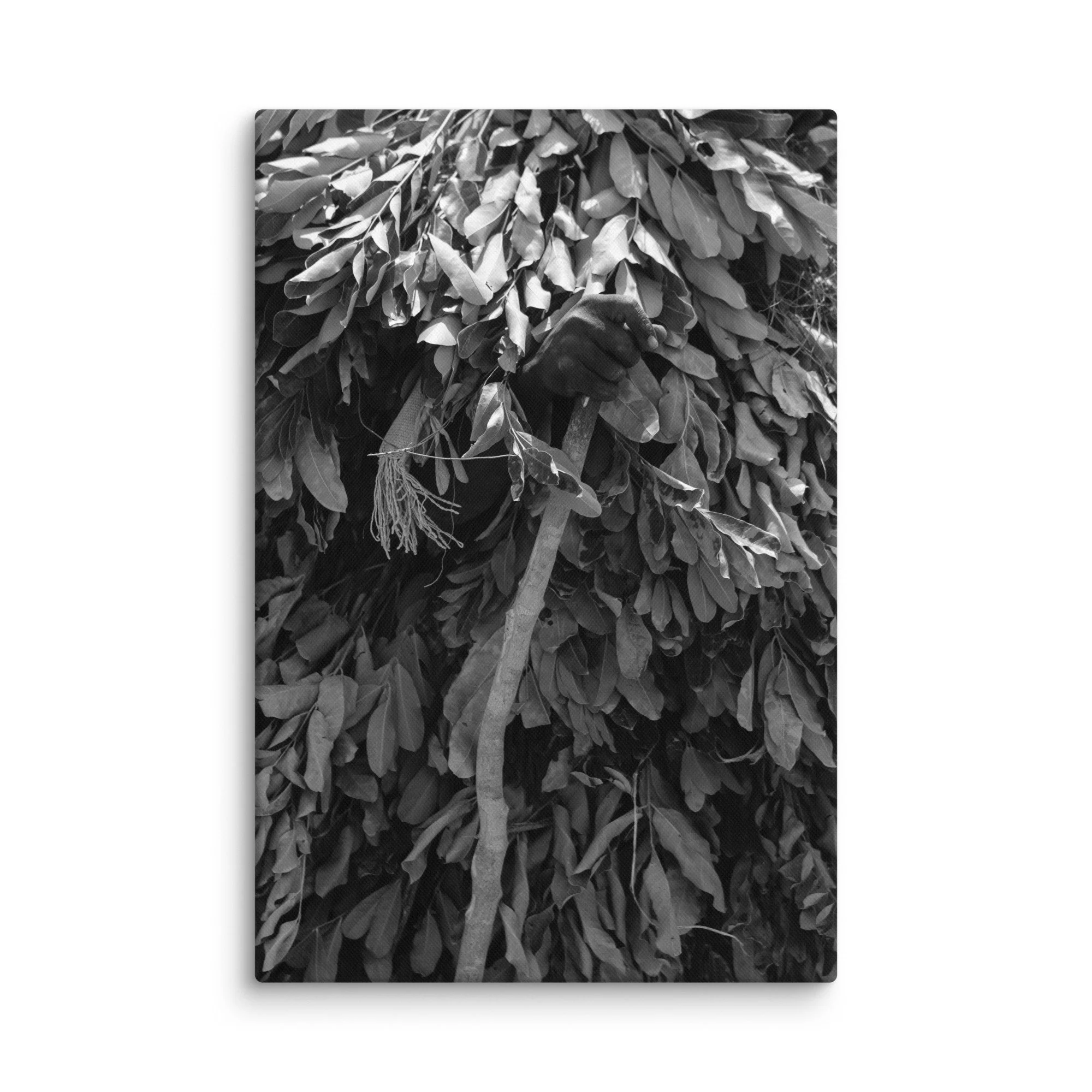 canvas-(in)-16x24-wall-68aa60078f7aa.jpg
