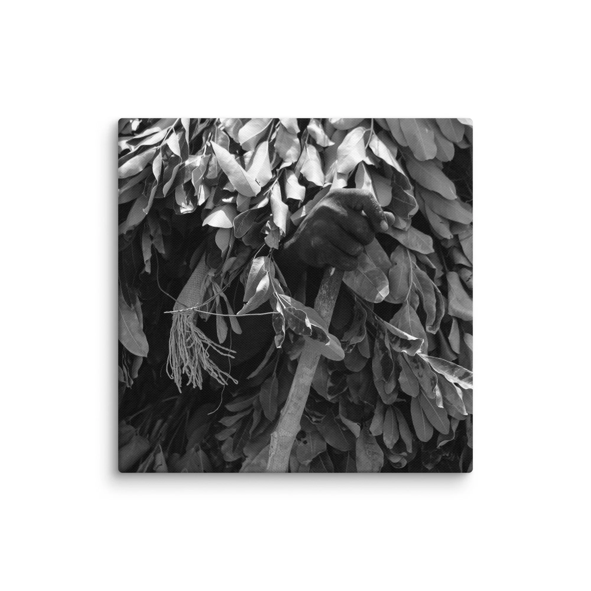 canvas-(in)-6x6-wall-68aa60078ffd2.jpg