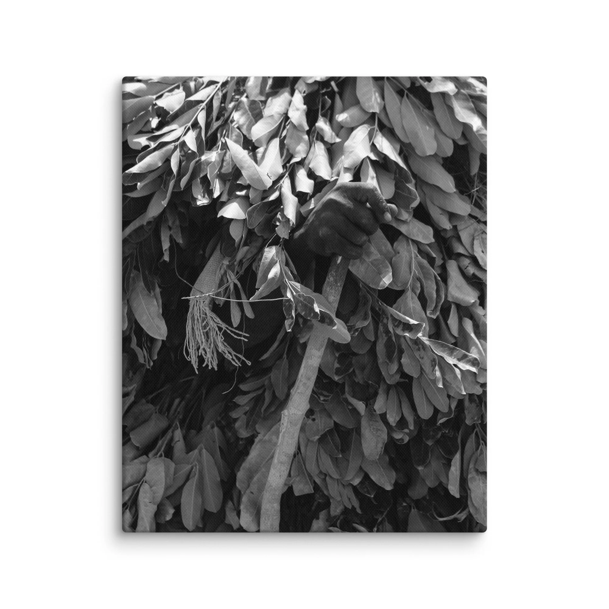canvas-(in)-8x10-wall-68aa600790054.jpg