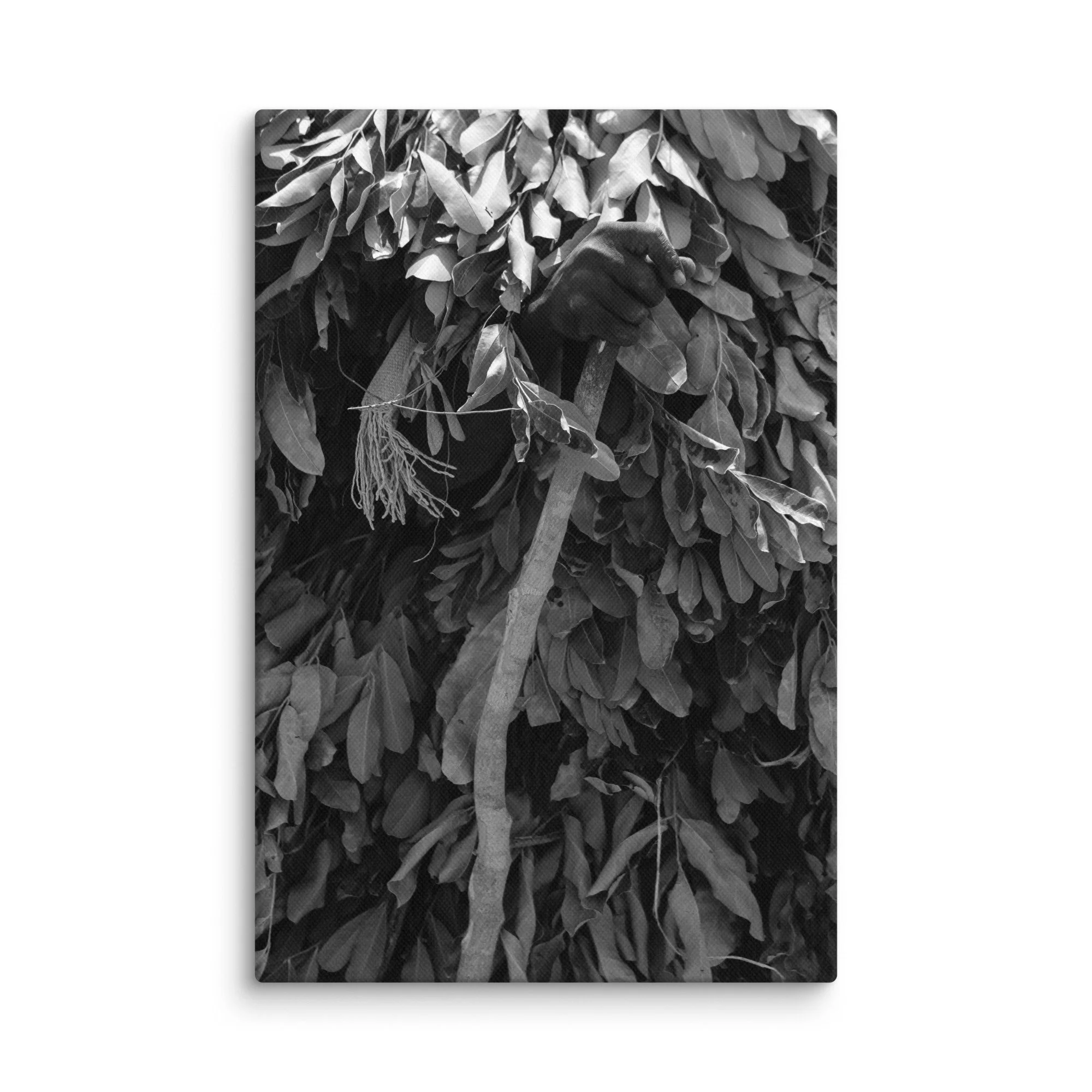 canvas-(in)-8x12-wall-68aa6007900d7.jpg