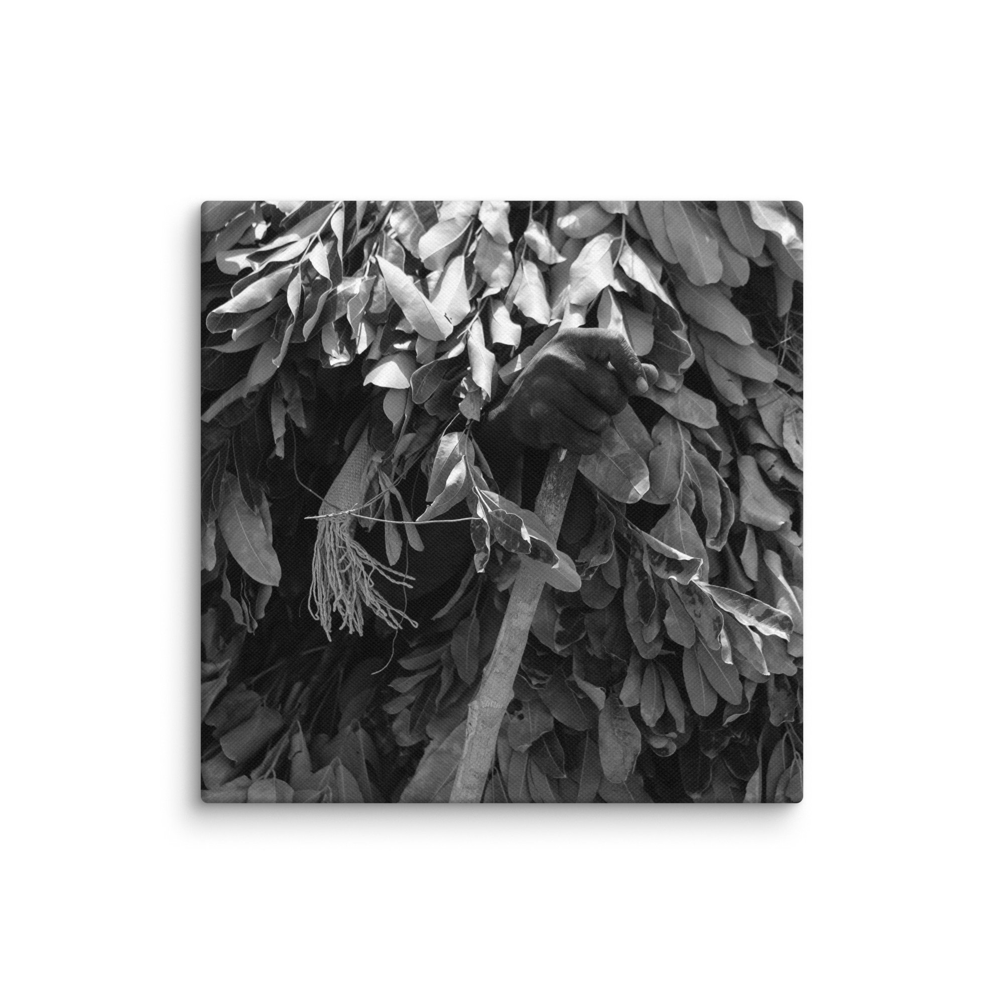 canvas-(in)-8x8-wall-68aa60079015a.jpg