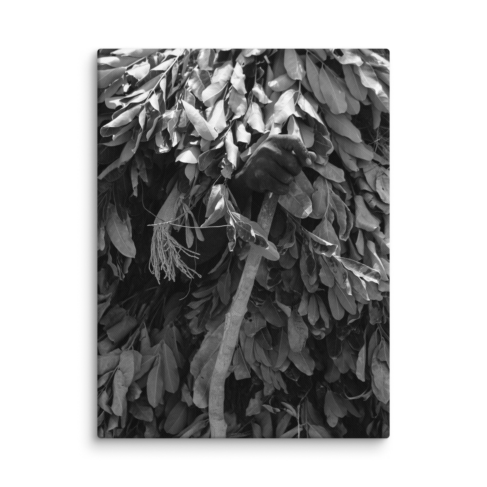 canvas-(in)-9x12-wall-68aa600790216.jpg