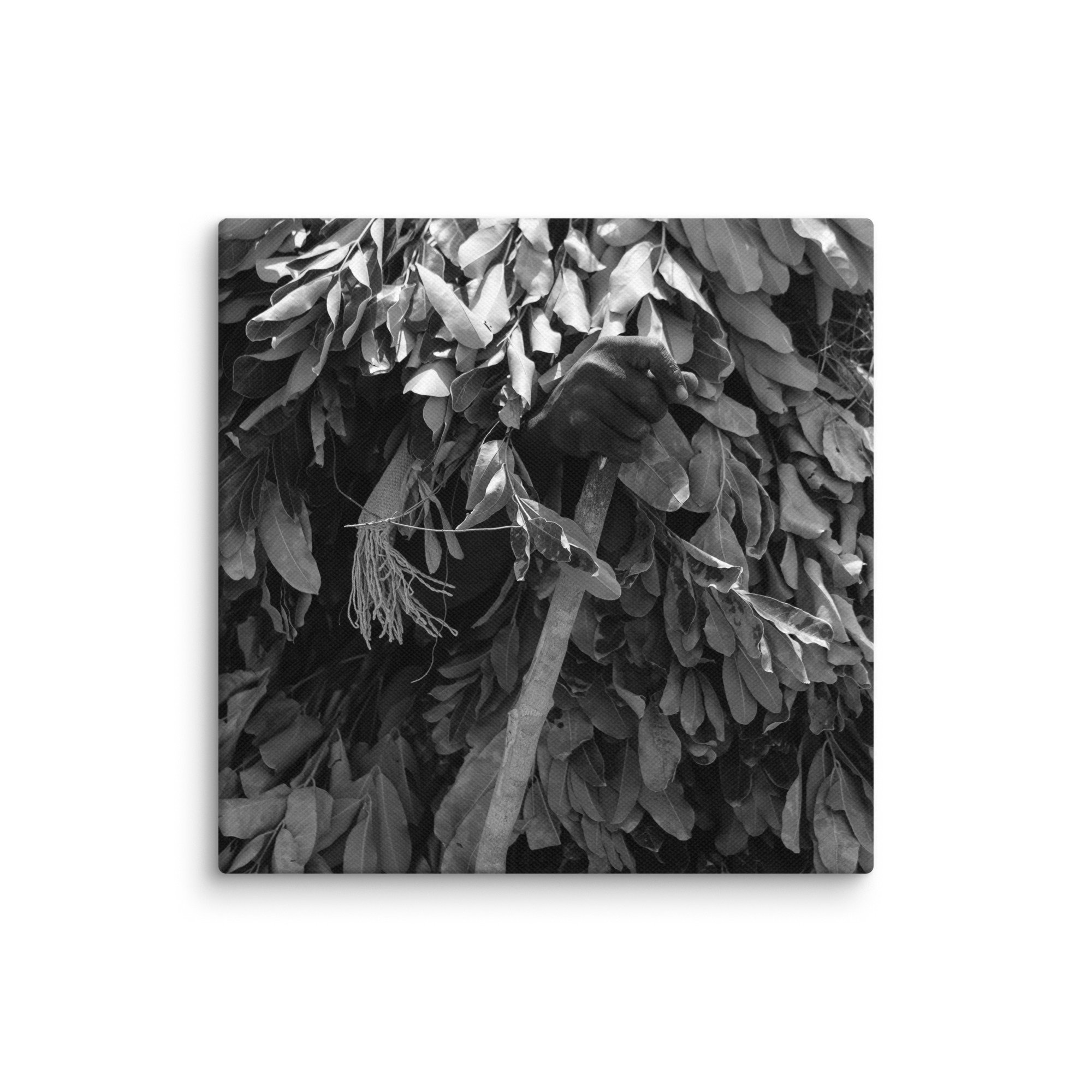 canvas-(in)-12x12-wall-68aa6007902f7.jpg