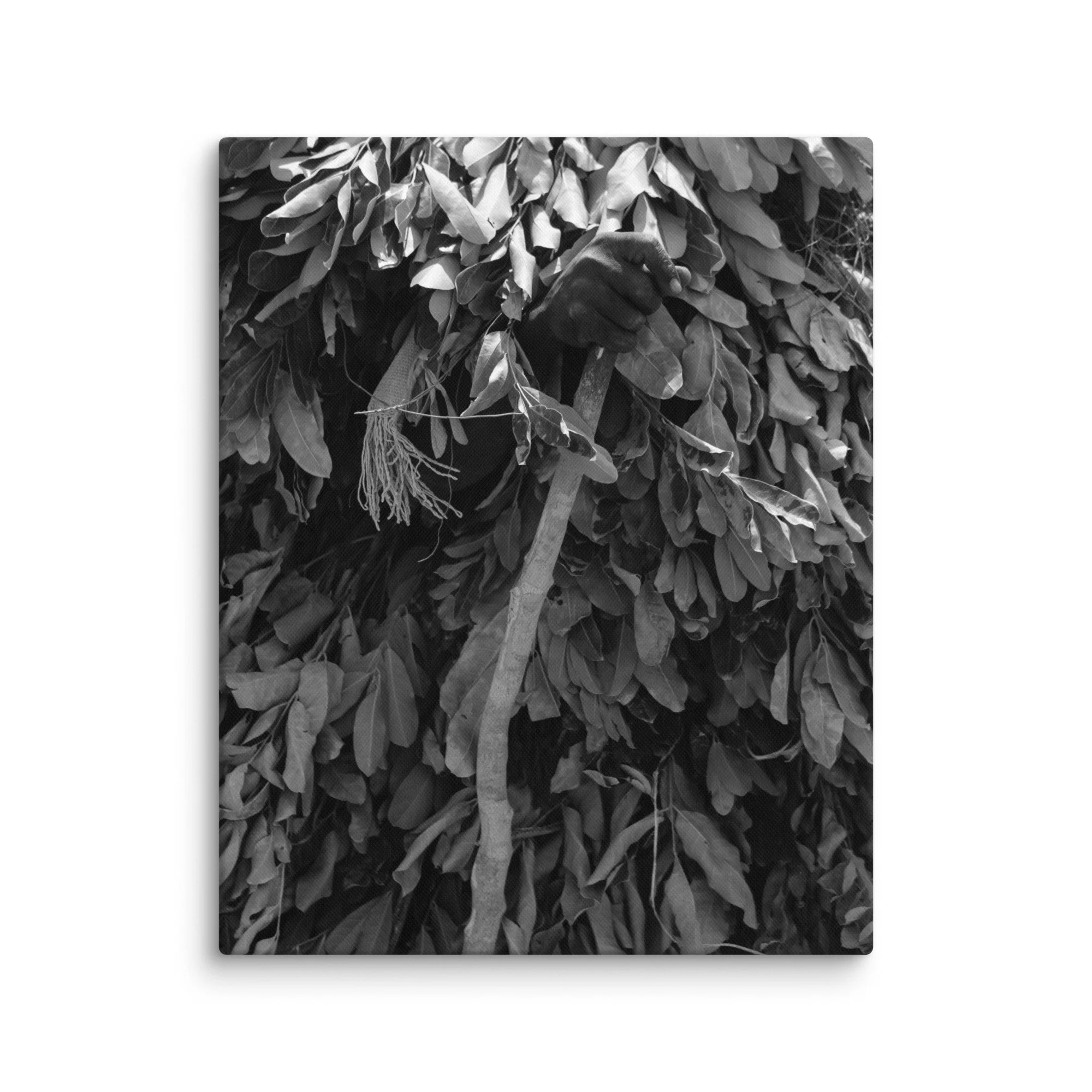canvas-(in)-16x20-wall-68aa60079045d.jpg