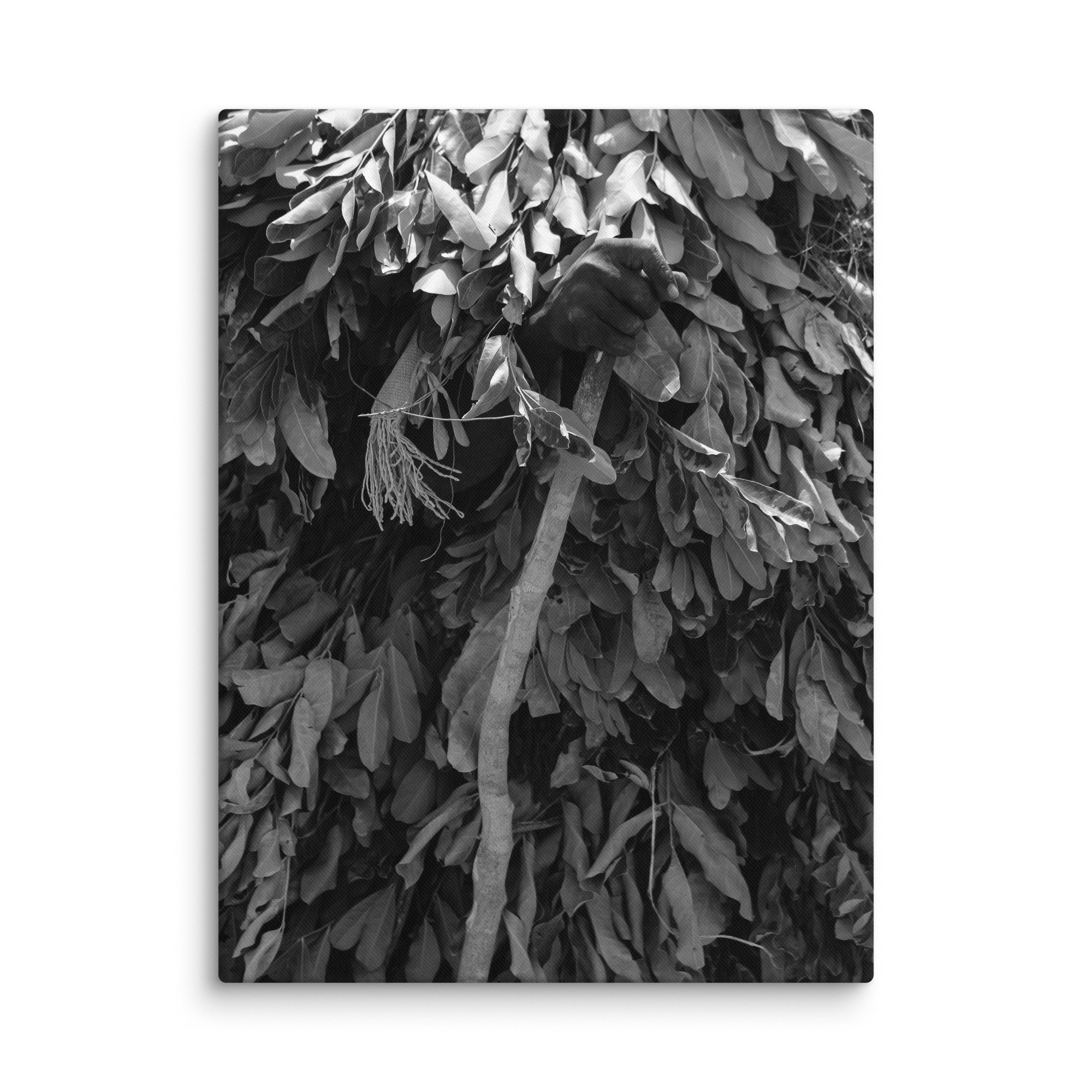 canvas-(in)-18x24-wall-68aa6007904e5.jpg