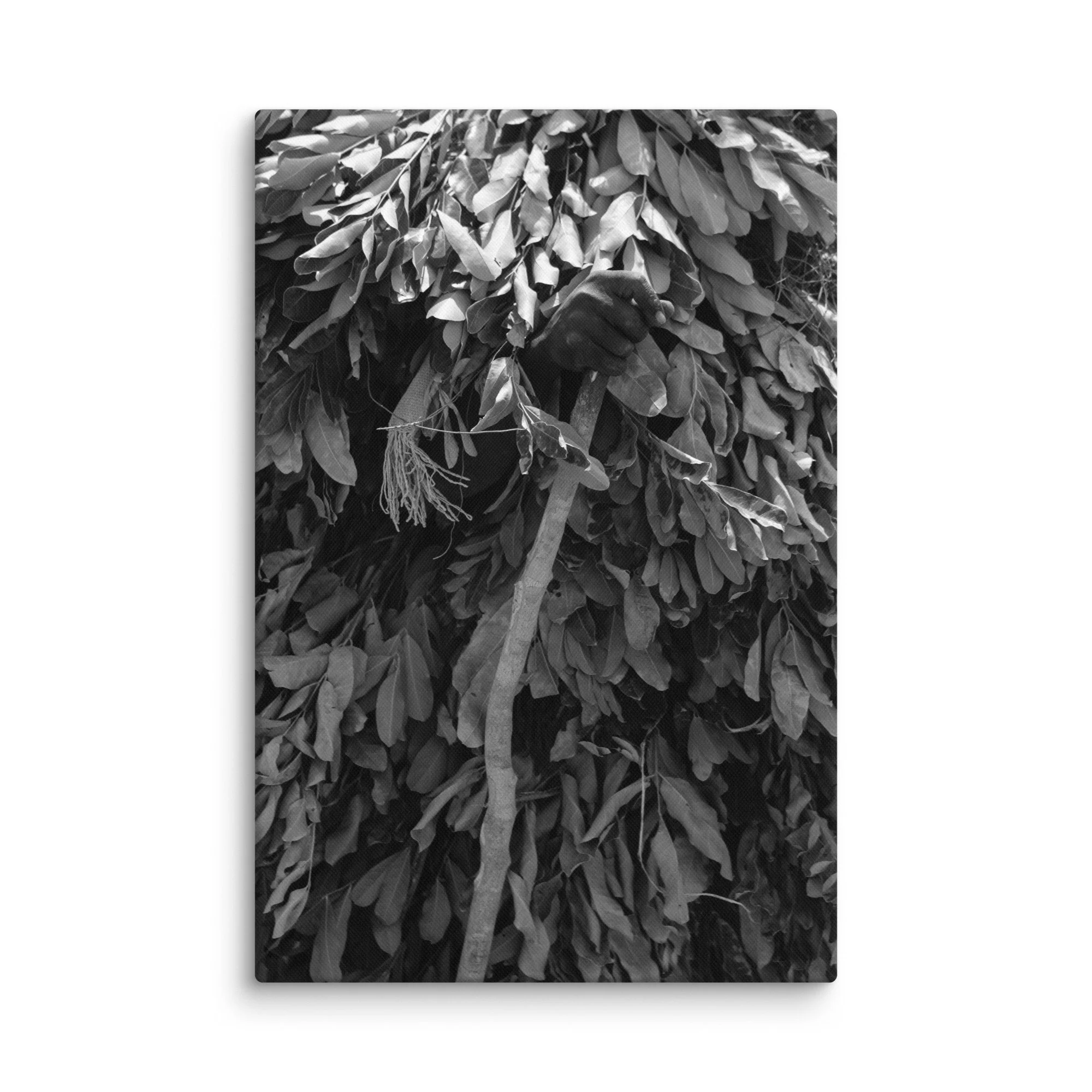canvas-(in)-24x36-wall-68aa60079056b.jpg