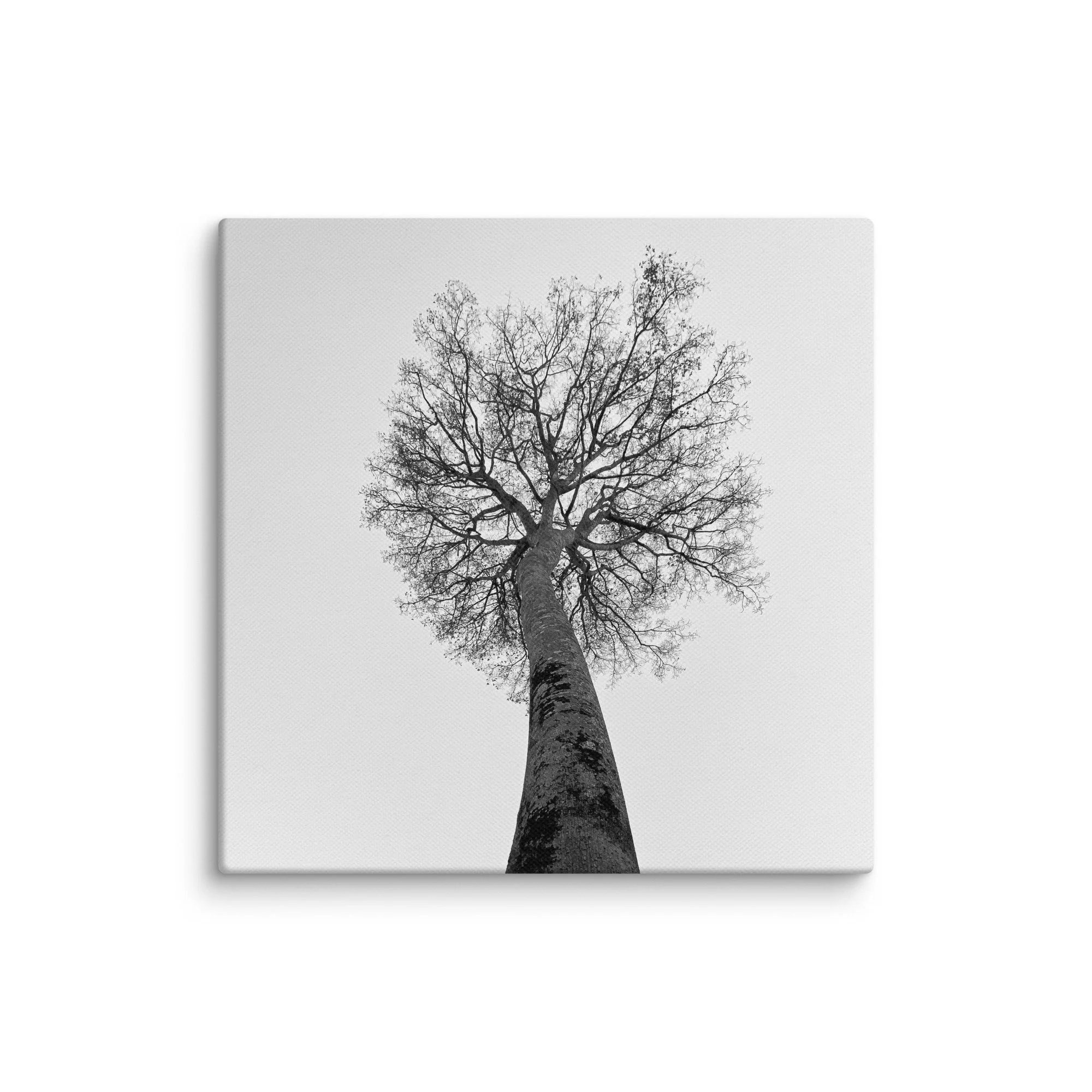 canvas-(in)-10x10-wall-68aa69c93ca96.jpg
