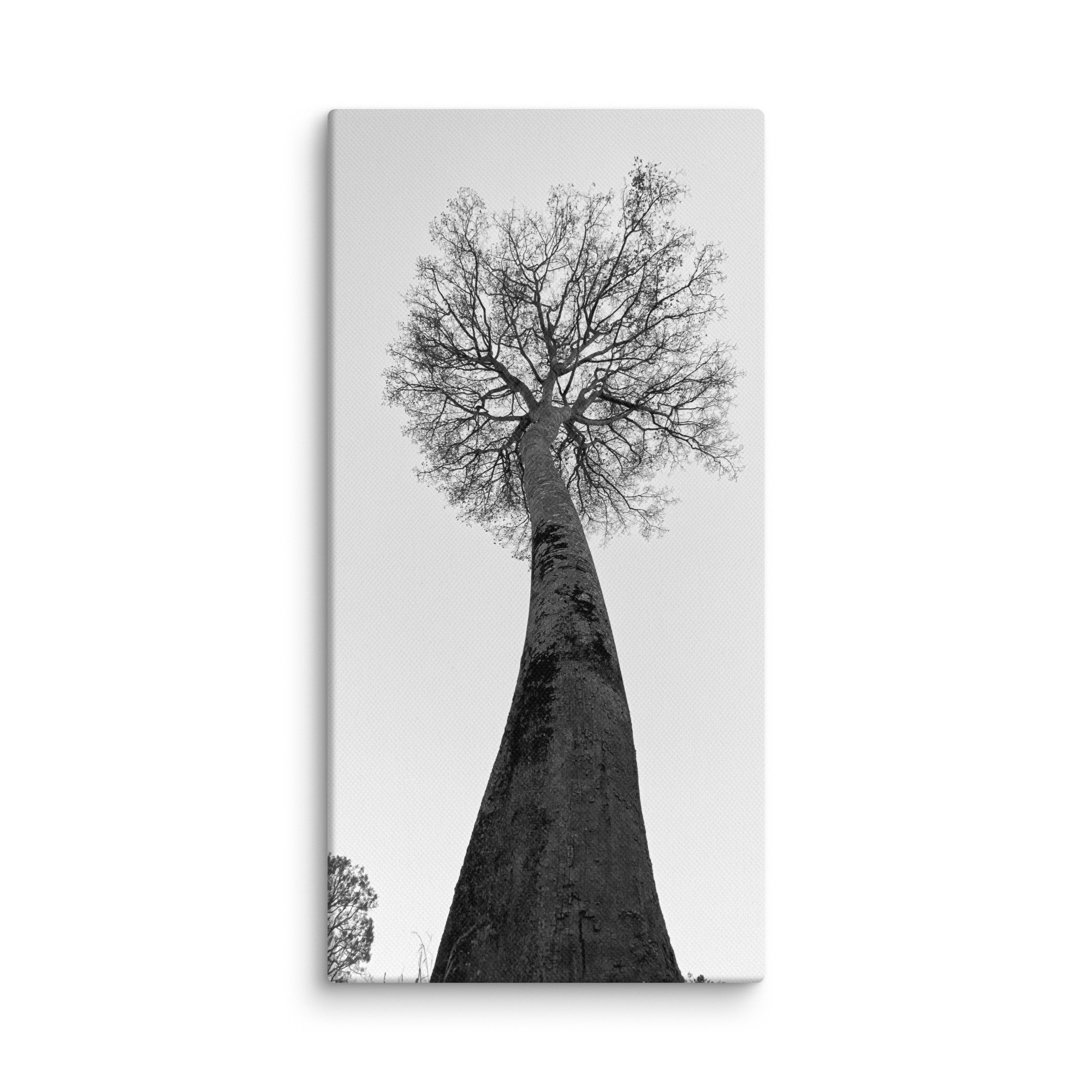 canvas-(in)-10x20-wall-68aa69c93cb80.jpg
