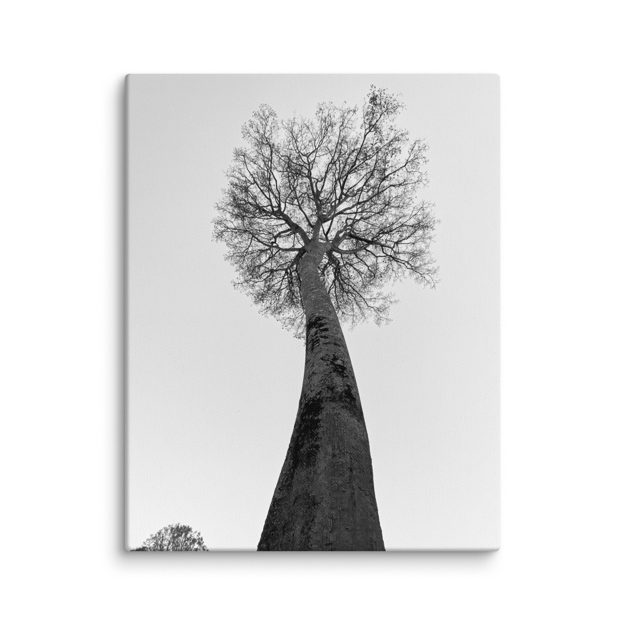 canvas-(in)-11x14-wall-68aa69c93cc21.jpg
