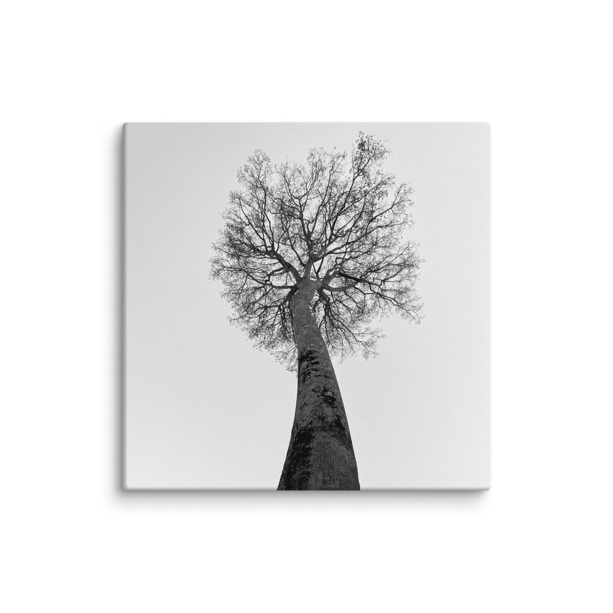canvas-(in)-14x14-wall-68aa69c93cdc3.jpg