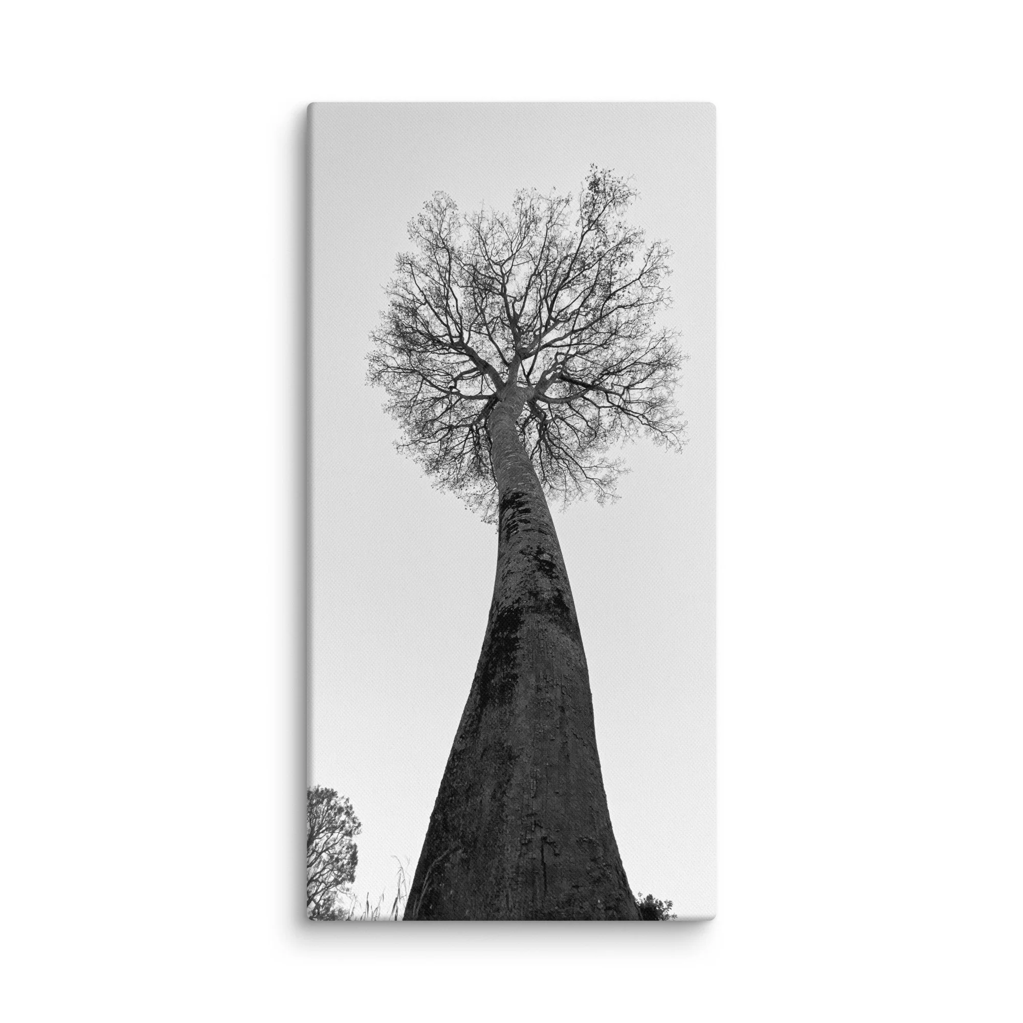 canvas-(in)-16x32-wall-68aa69c93cebf.jpg
