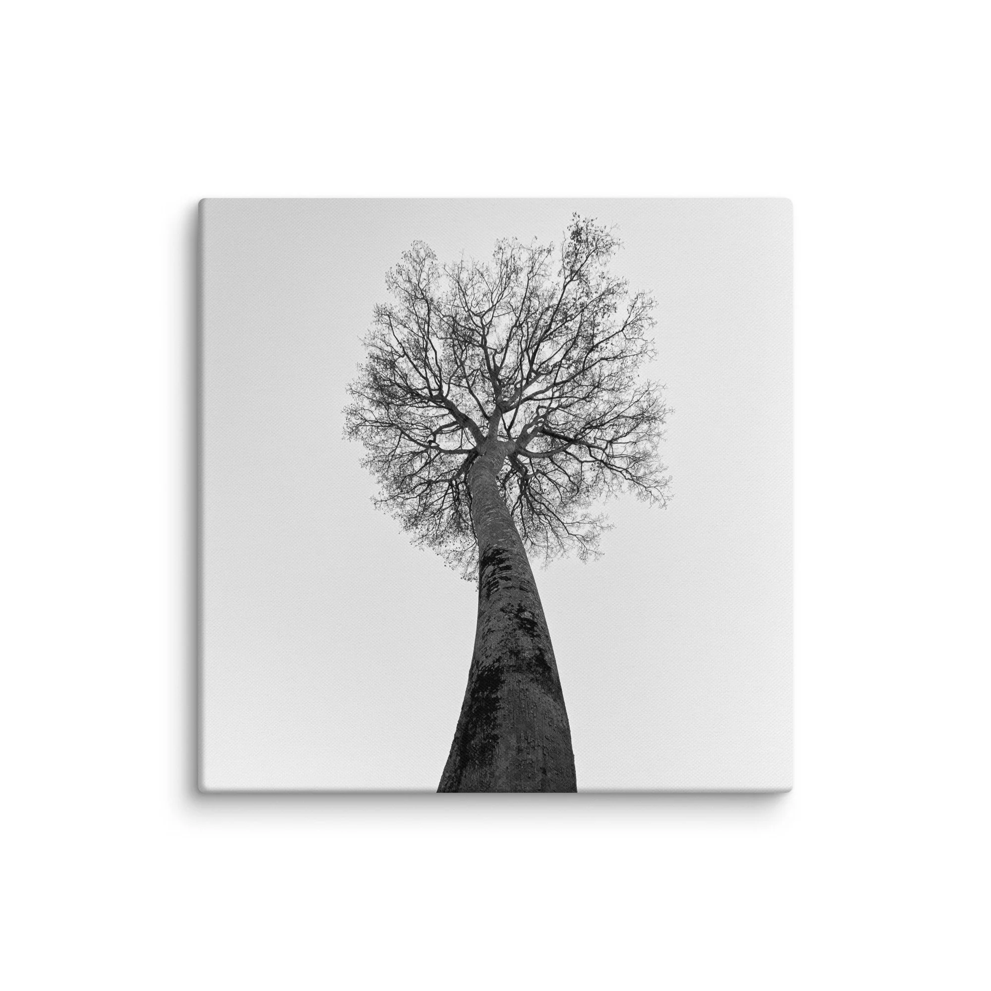 canvas-(in)-18x18-wall-68aa69c93cff6.jpg