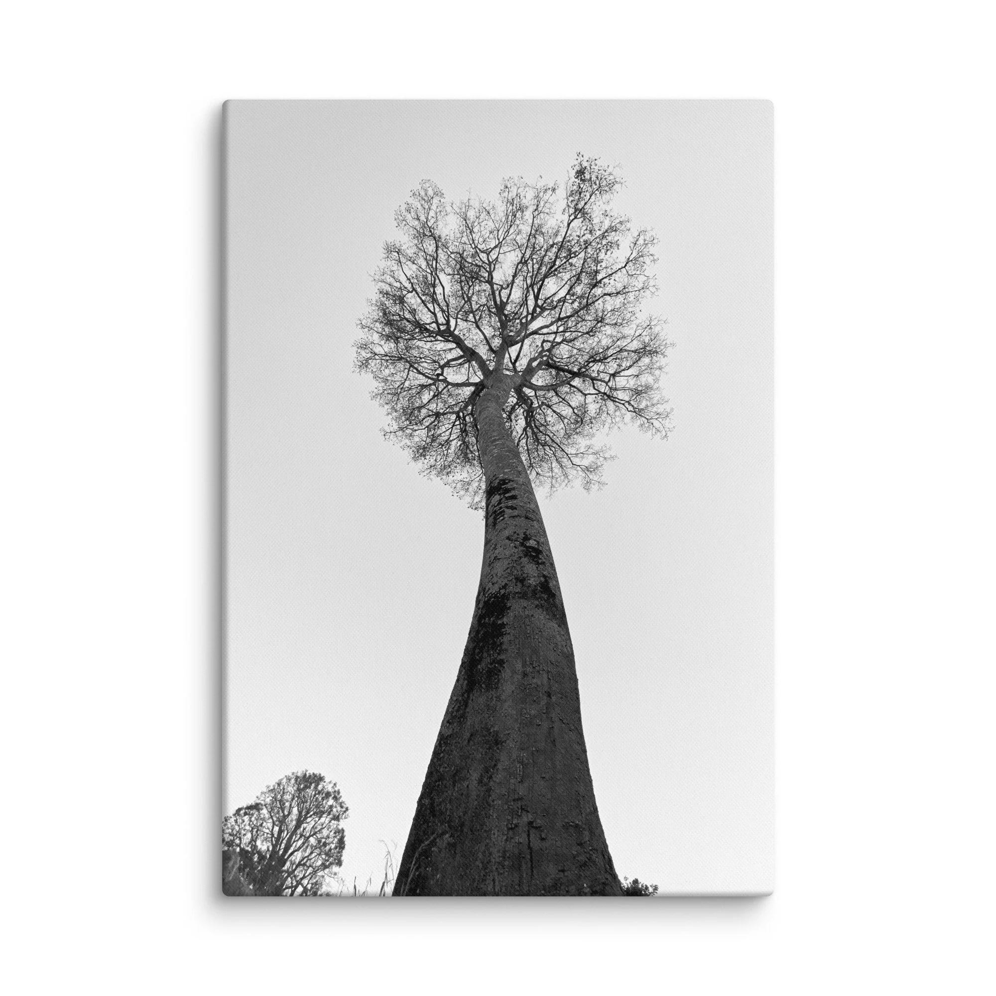canvas-(in)-18x26-wall-68aa69c93d065.jpg