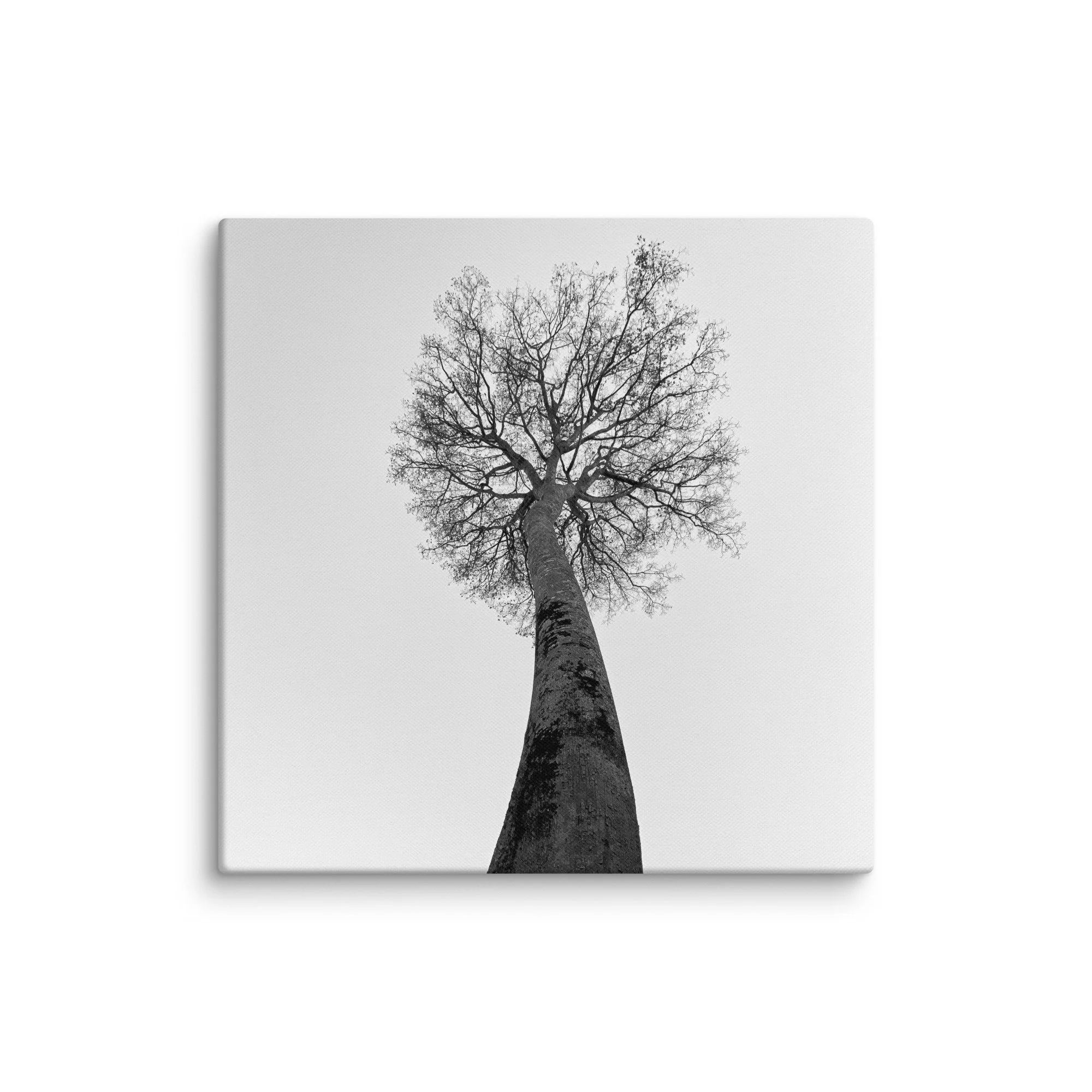 canvas-(in)-20x20-wall-68aa69c93d0d1.jpg