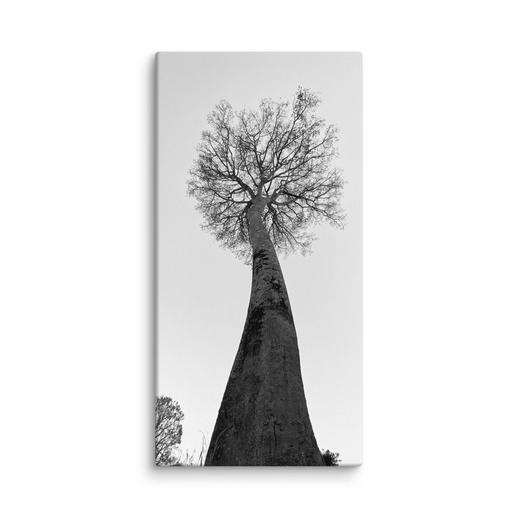 canvas-(in)-20x40-wall-68aa69c93d239.jpg