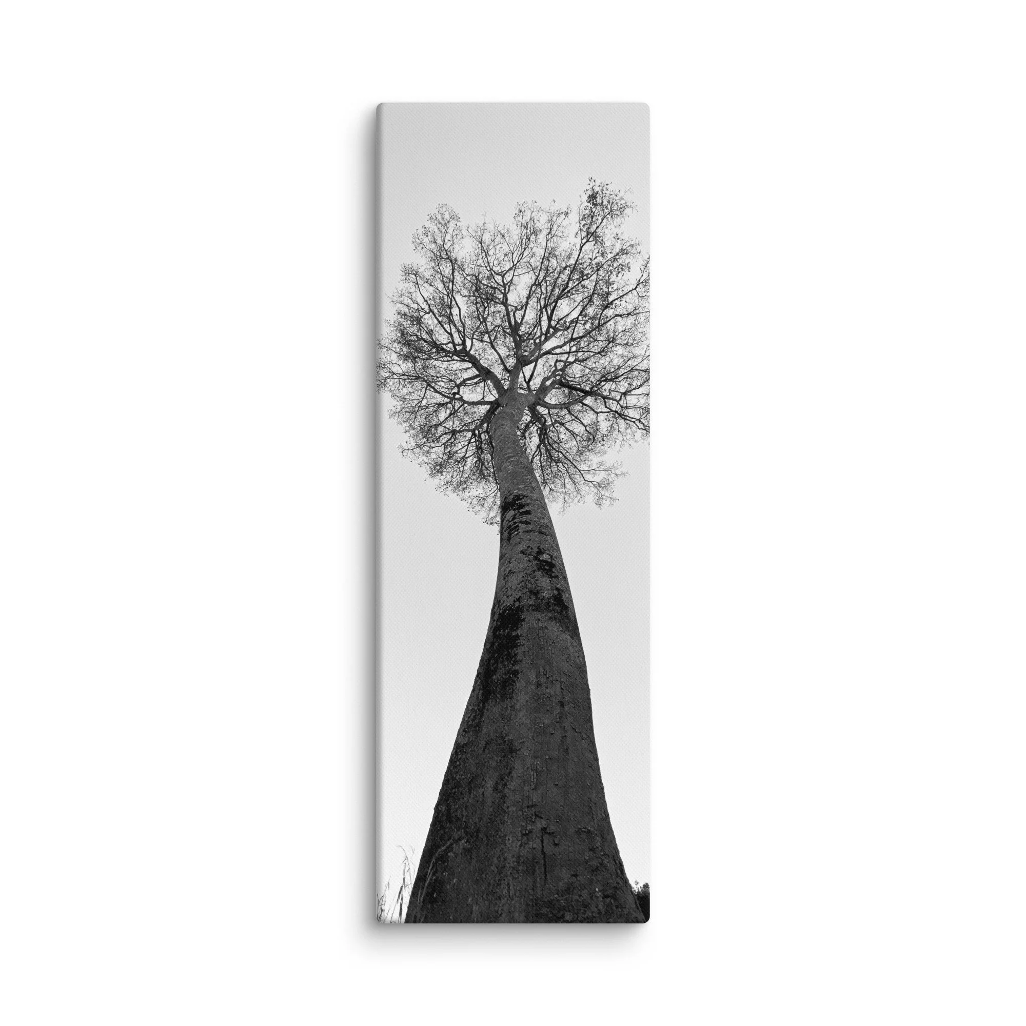 canvas-(in)-20x60-wall-68aa69c93d2da.jpg
