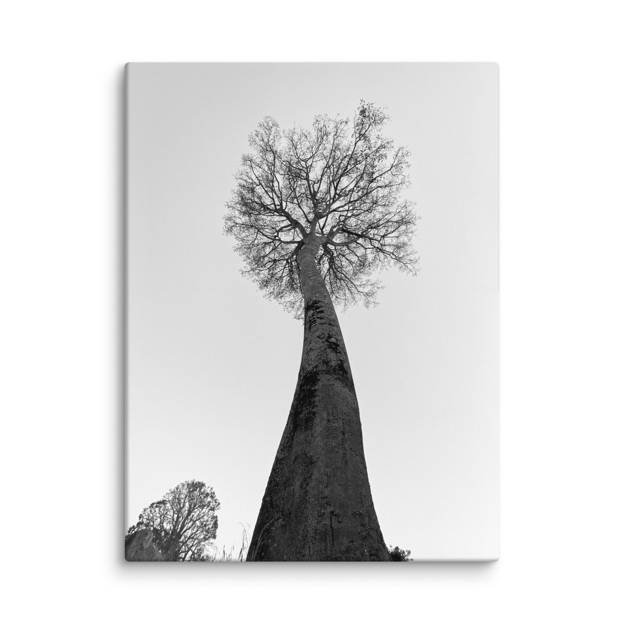 canvas-(in)-24x32-wall-68aa69c93d402.jpg