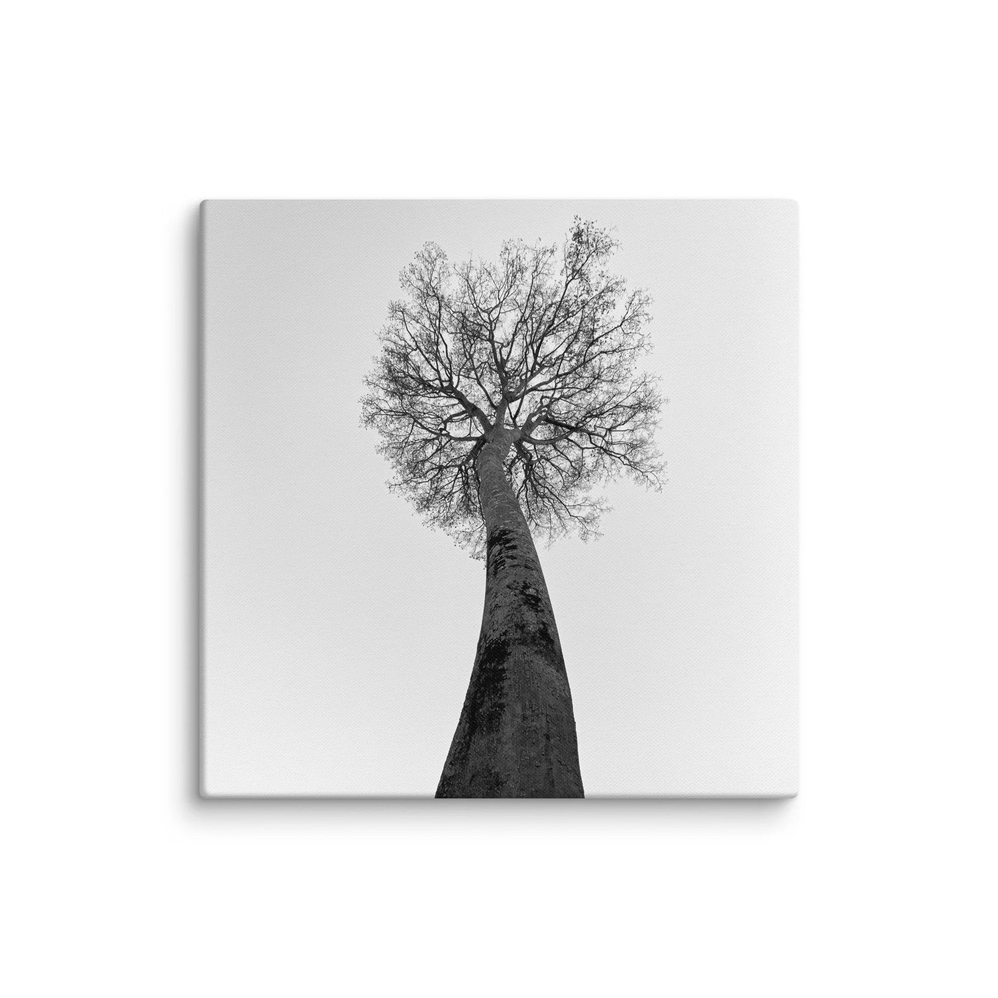 canvas-(in)-26x26-wall-68aa69c93d4e6.jpg