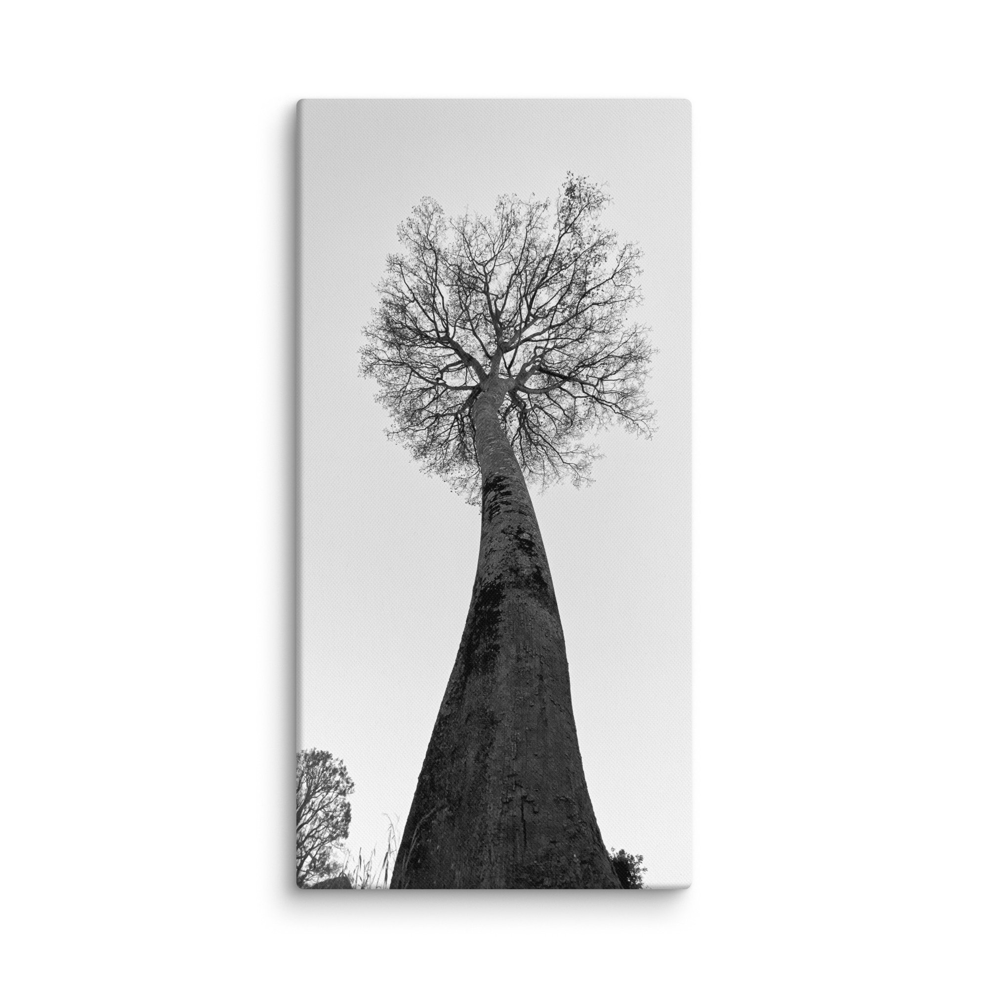 canvas-(in)-30x60-wall-68aa69c93d720.jpg
