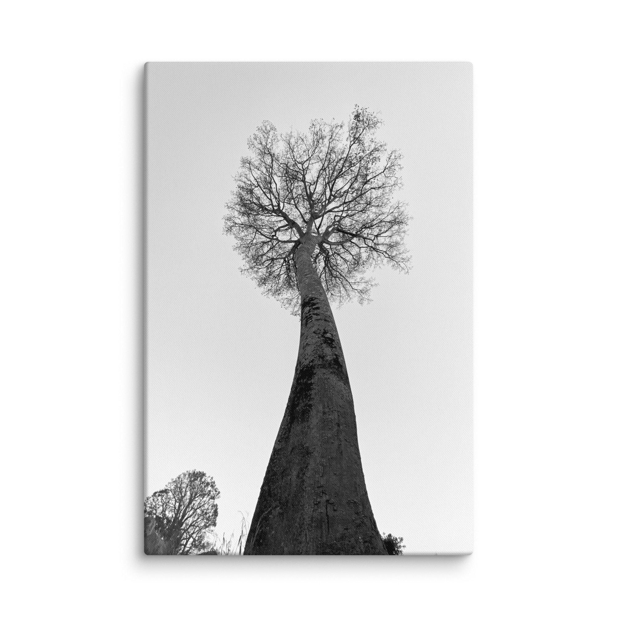 canvas-(in)-32x48-wall-68aa69c93d81e.jpg
