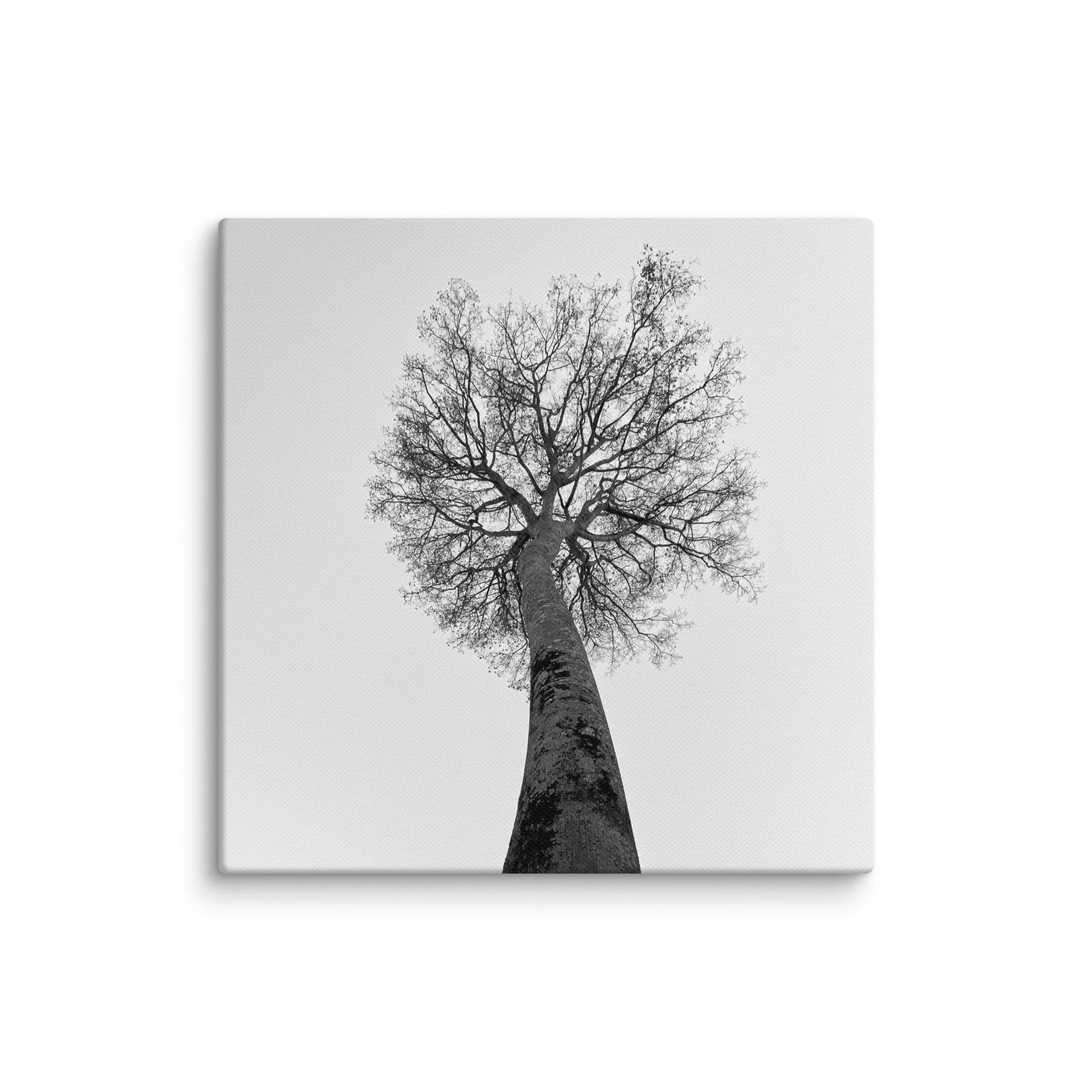 canvas-(in)-6x6-wall-68aa69c93dad6.jpg