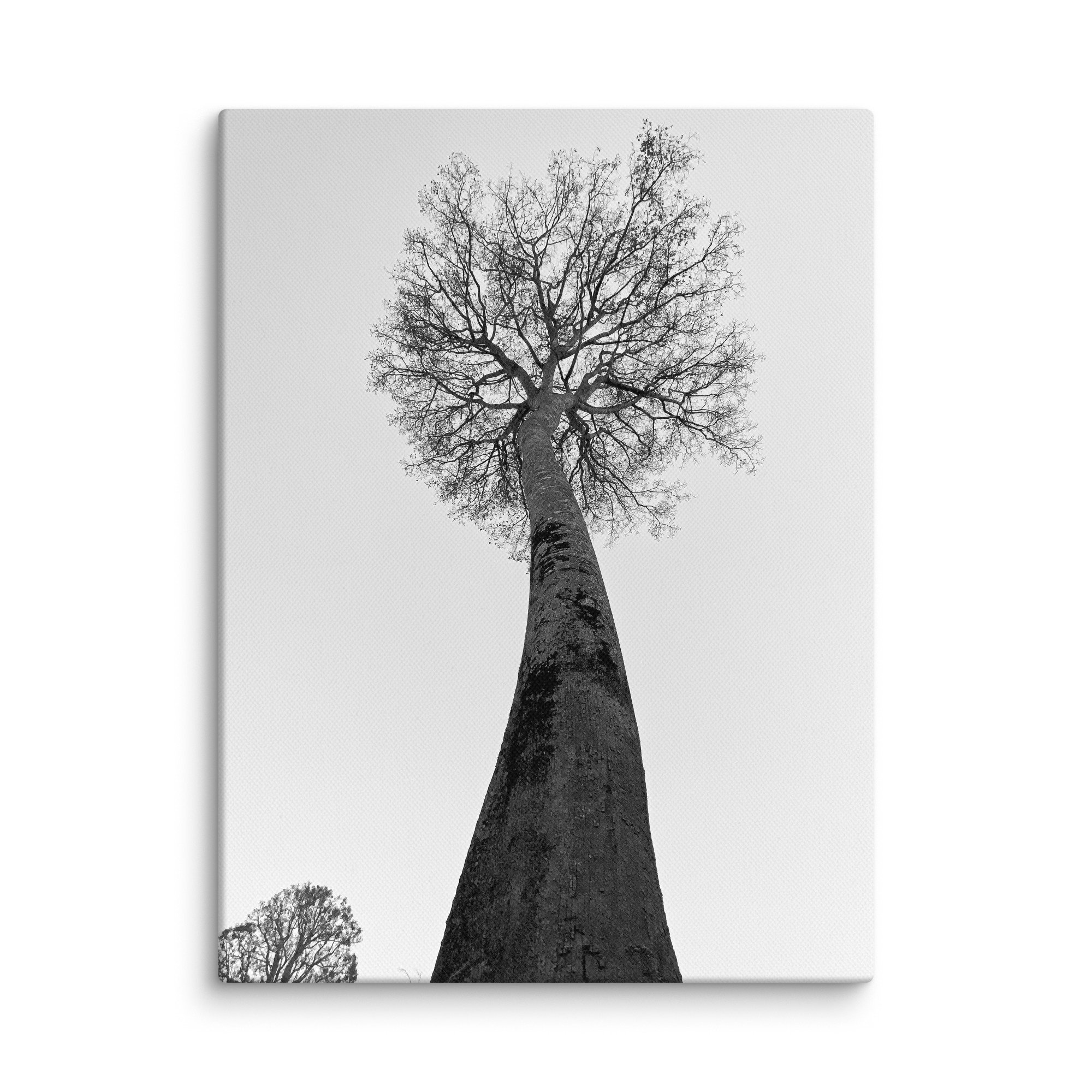 canvas-(in)-9x12-wall-68aa69c93dea4.jpg