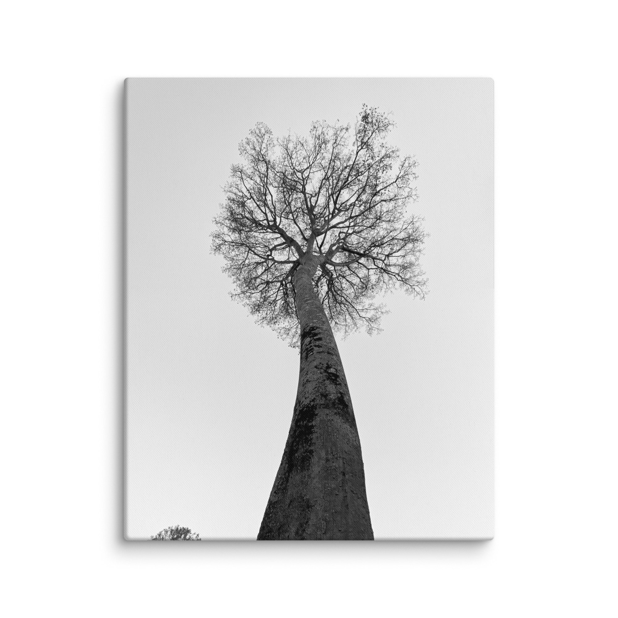 canvas-(in)-16x20-wall-68aa69c93e203.jpg