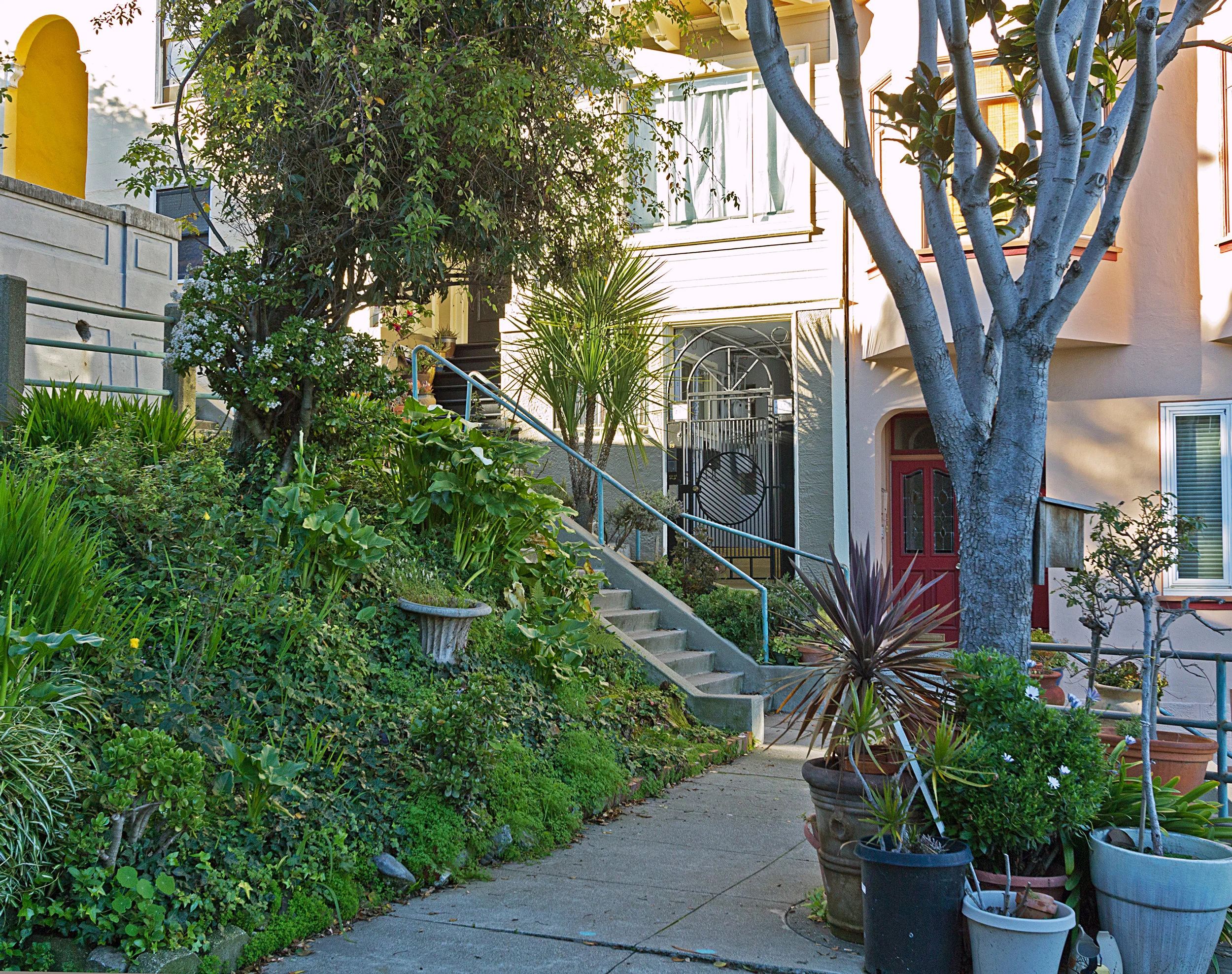 Located in the interior of a block with entrance through a tunnel, this original piece of Telegraph Hill history makes the most of limited space. Both intimate and dramatically panoramic. Including pictures from the family album made this book more personal.