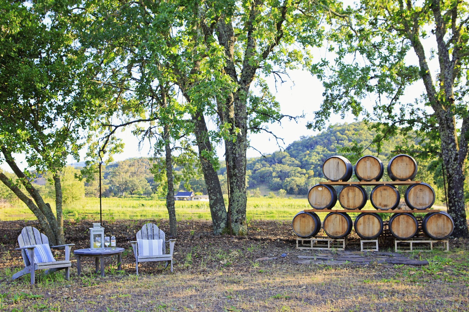 “The best part is the house and grounds- an early morning jog along a quiet country lane, a beautiful sunset over the vineyard an incredibly starry night sky...”