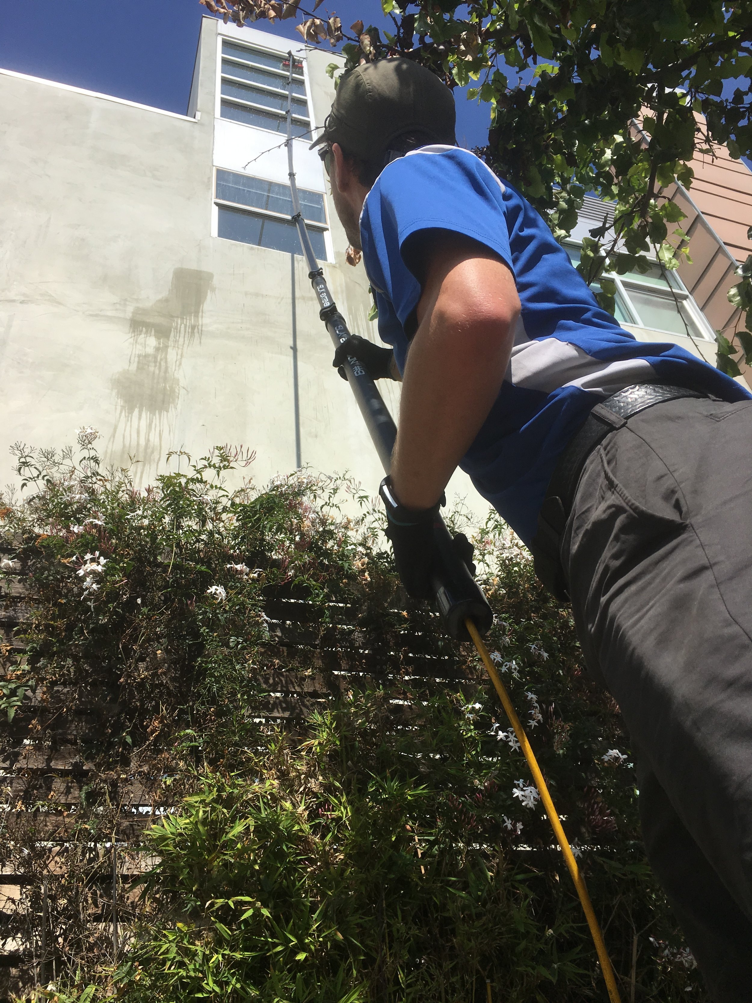  Jesse of Aero Window Cleaning using our carbon-fiber pole to clean windows at 40 feet in the heart of Los Angeles! 