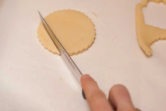 cookie shell.jpg