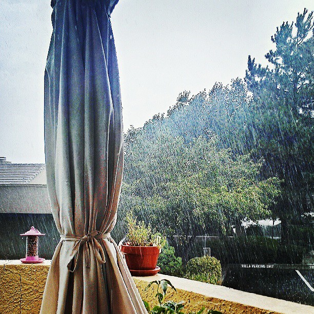 Raining like cats and dogs out there.