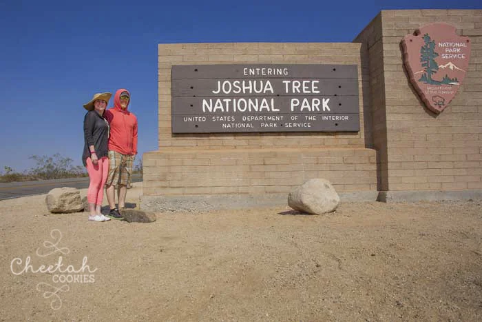 Joshua Tree- July 30th 2014