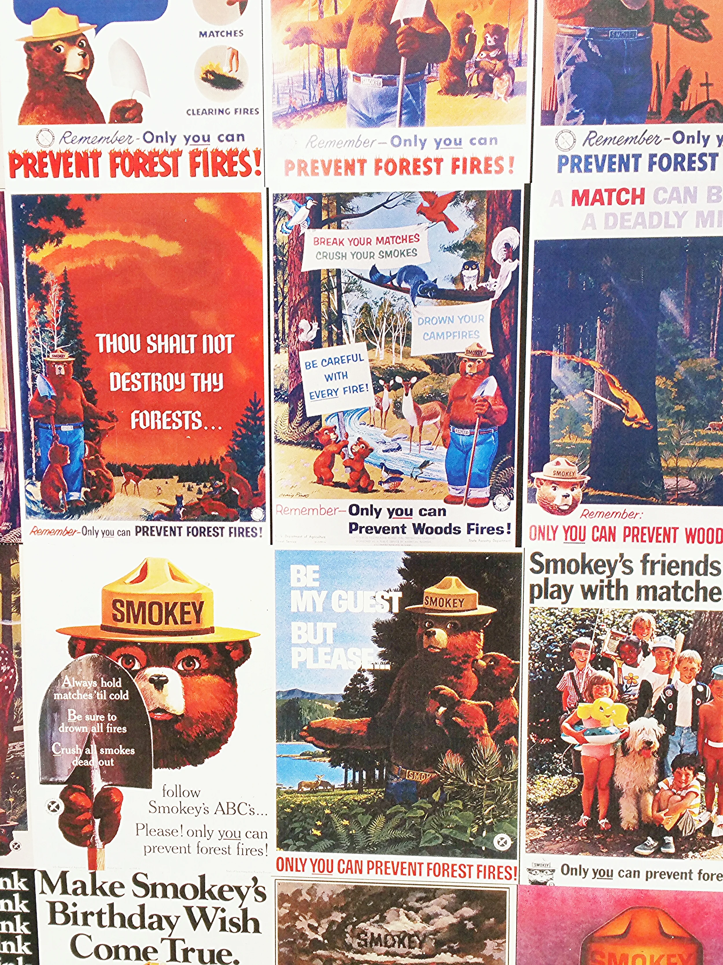 The graphic designer in me LOVED all the Smokey posters.