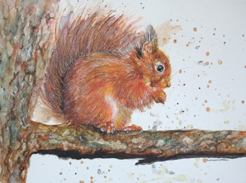 Nutsie-uncoated-web.jpg