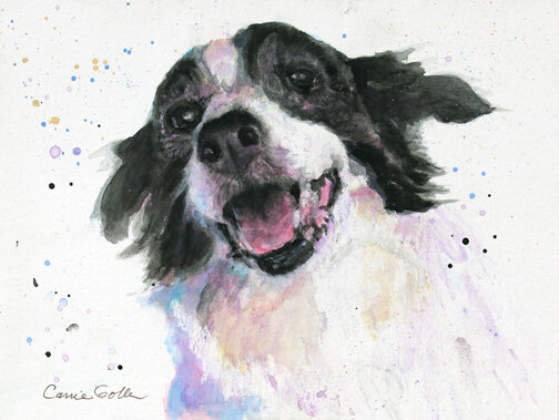 Molly 9x12 dog portrait-web.jpg