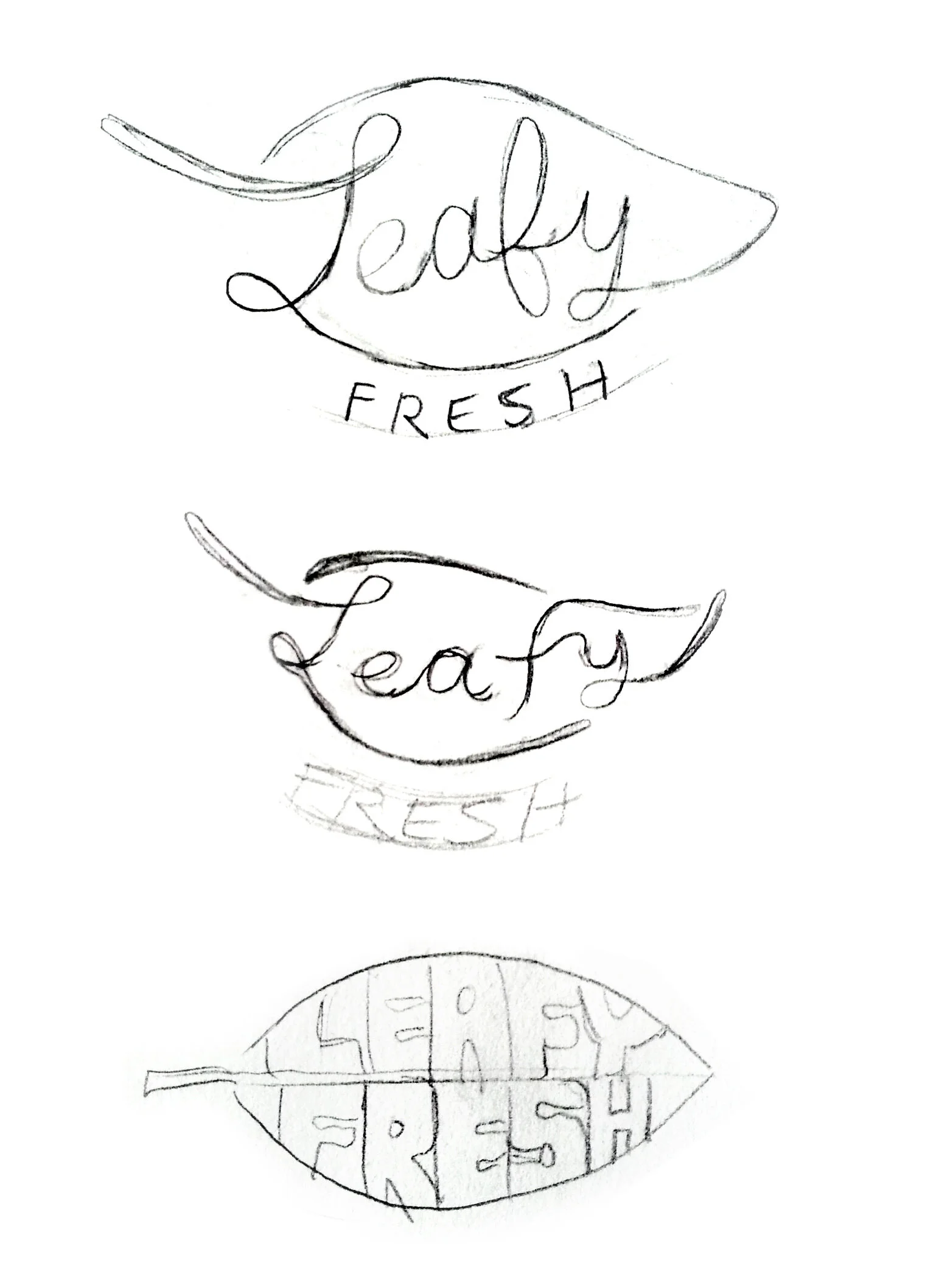 leafy_sketch.jpg