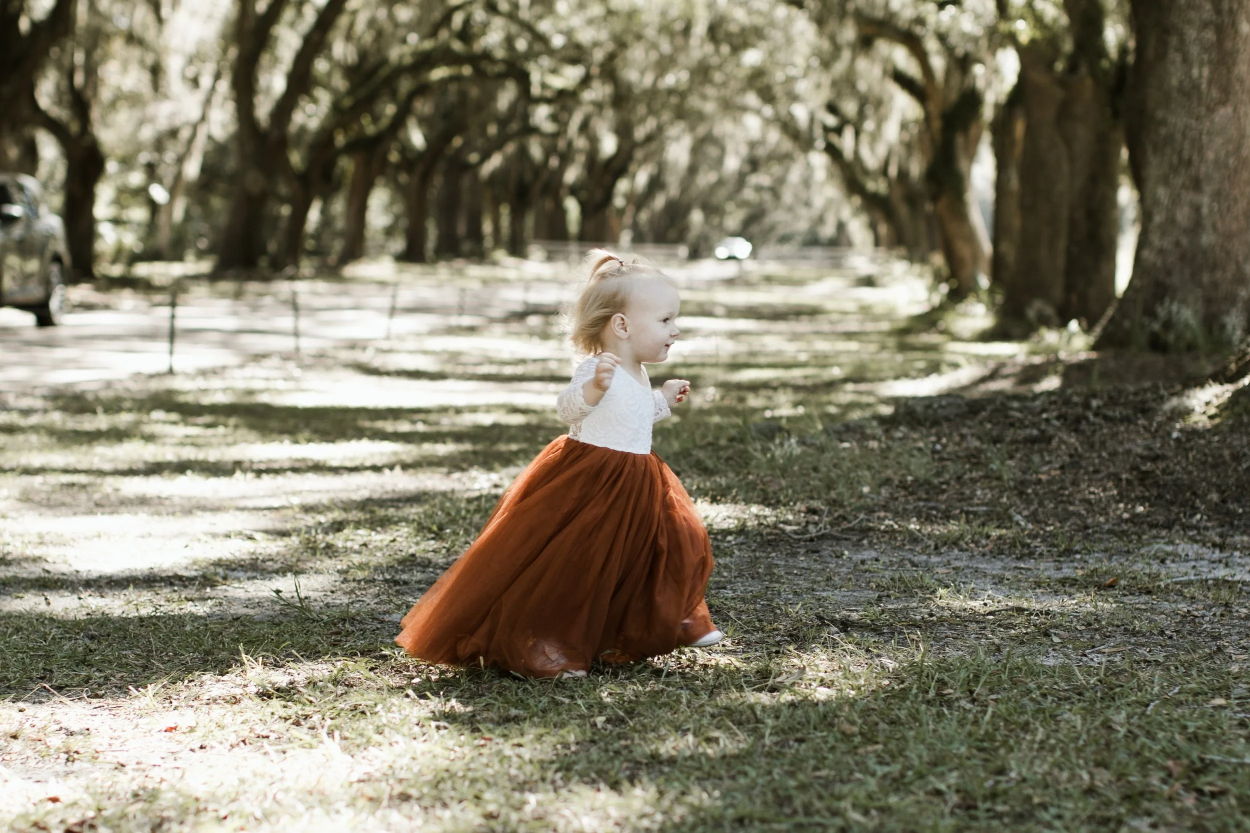 wormsloe savannah wedding photographer