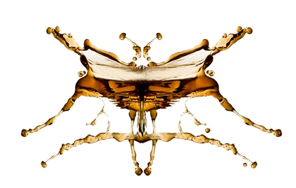splash_102@JOHN-ULMER.COM.jpg