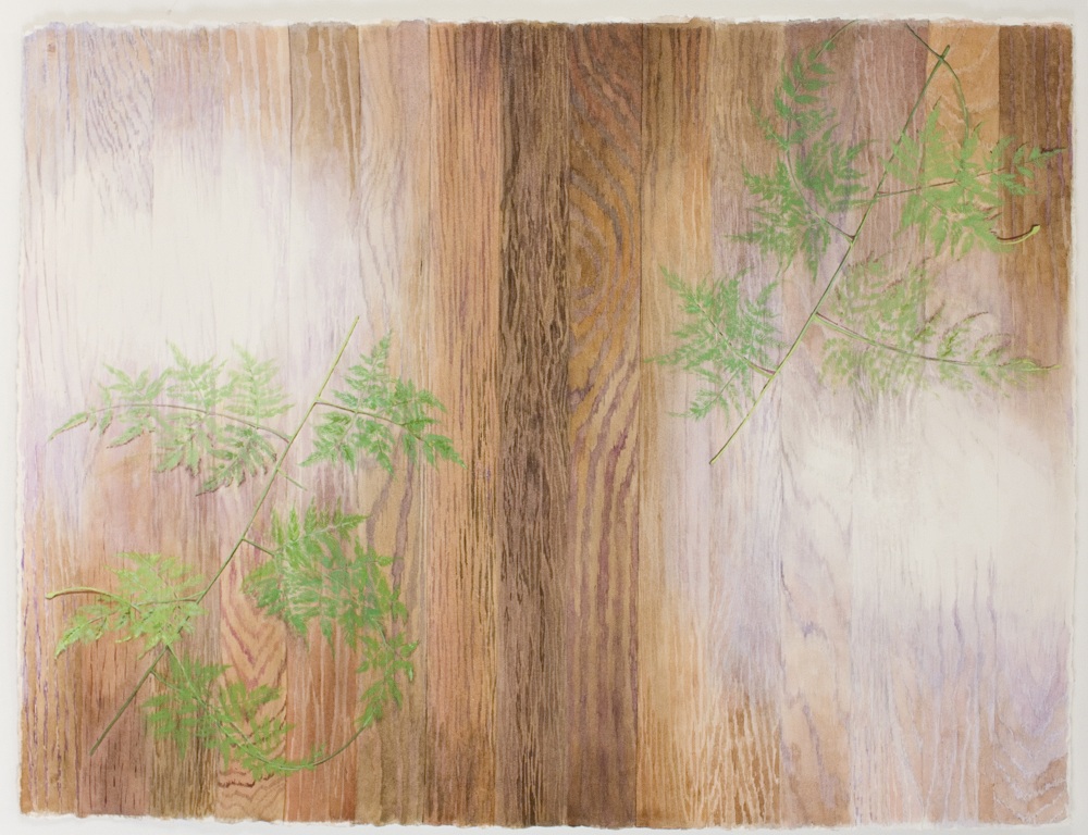 Double fern flash
