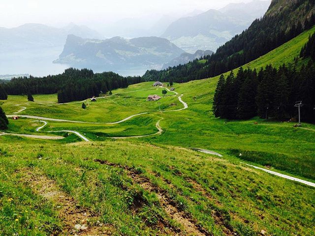 This luge was a blast and had incredible views! ⠀
⠀
You guys, you are running out of time to get my book at a steep discount. Last day of my Spring Countdown Sale is Sunday. Get it while it's hot! https://amzn.to/2HVHX8z⠀
⠀
#indieauthor #travelwriter