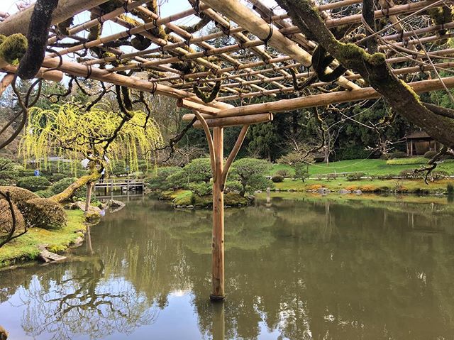 I love this little Japanese Garden in Seattle - especially in the spring! 
#seattlelife #park #seattle #travelwriter #beautifuldestinations #spring