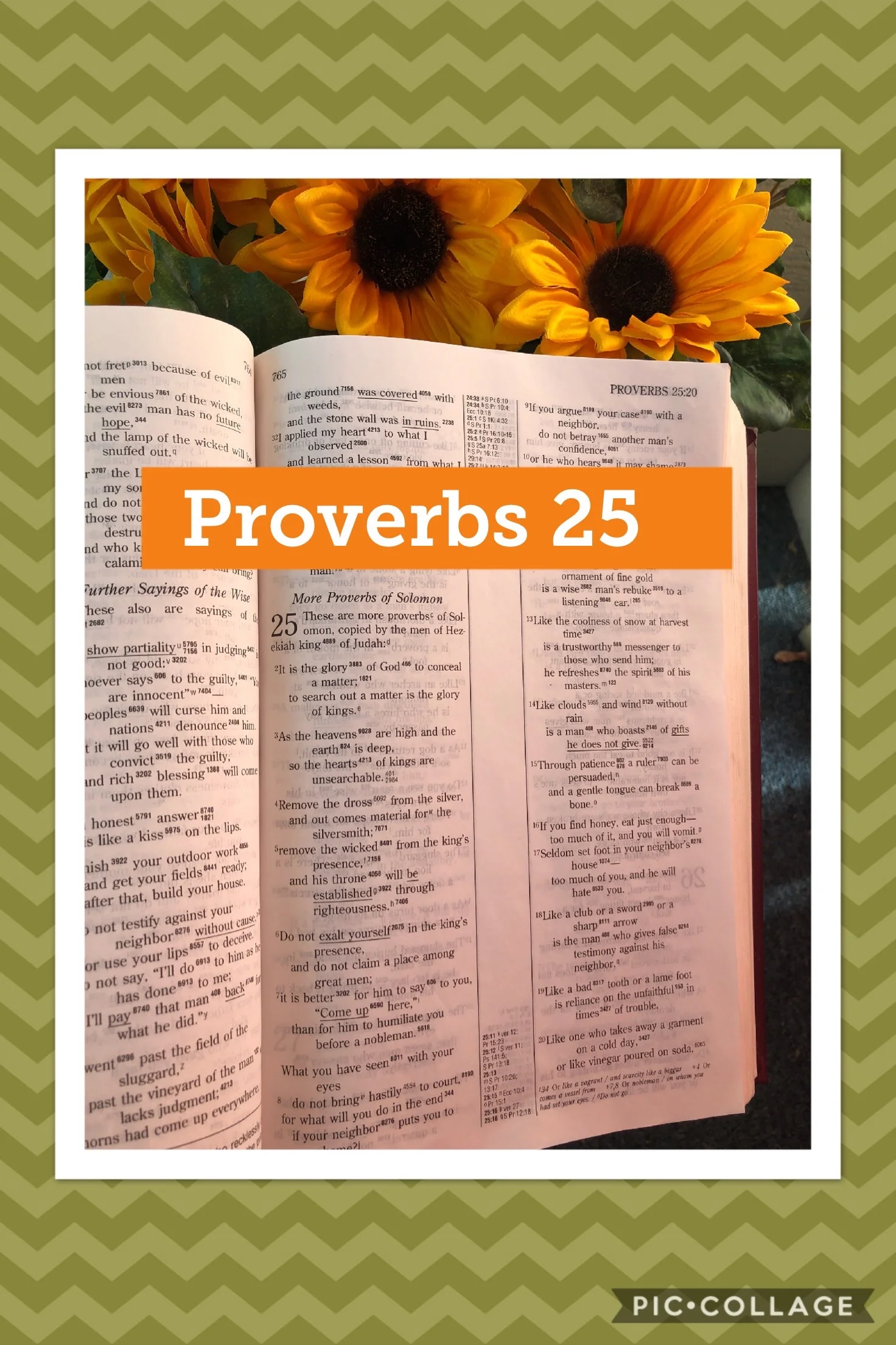 Proverbs 25