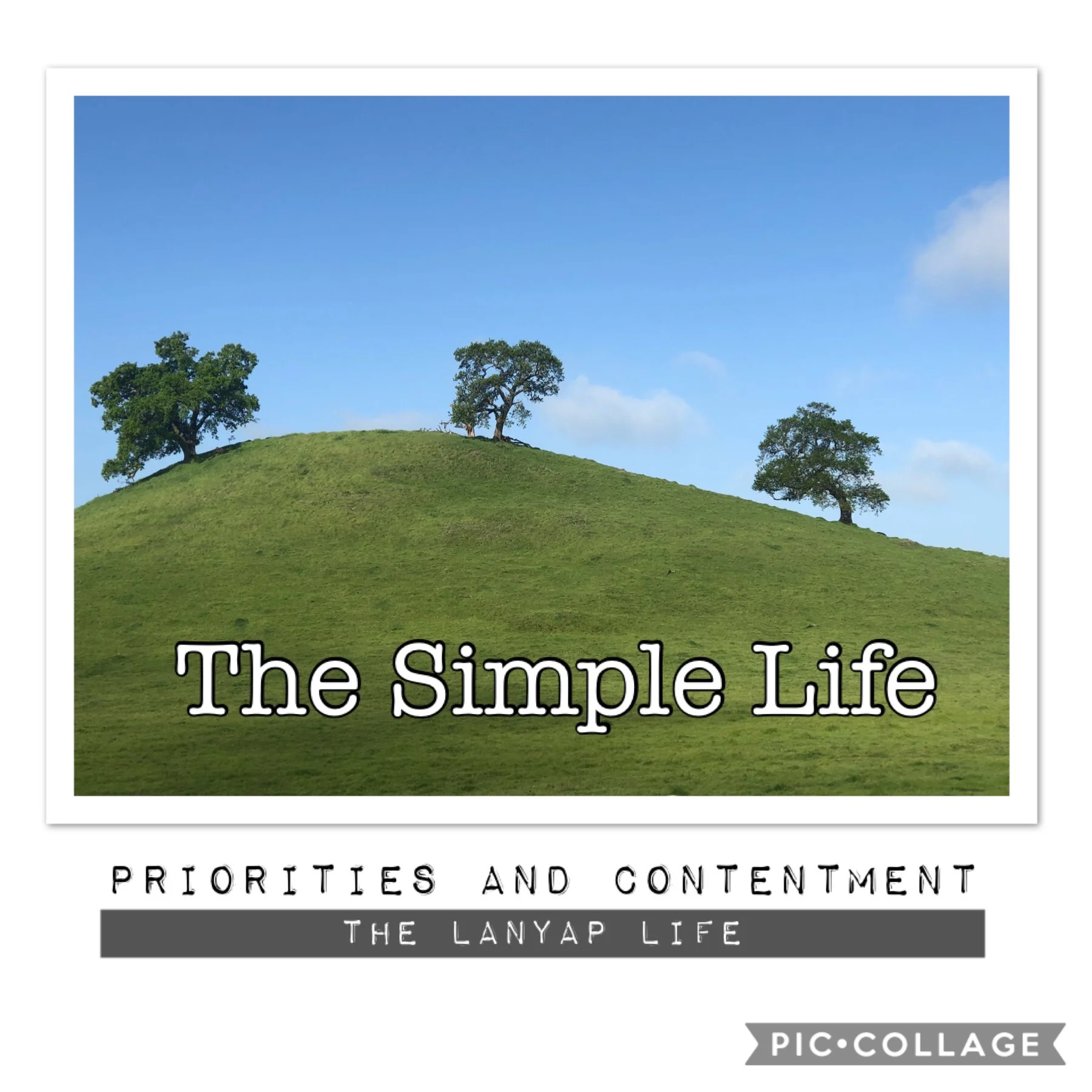 The Simple Life
