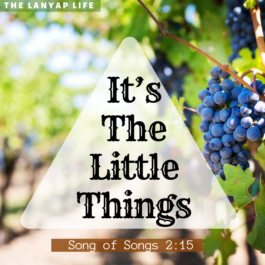 It’s The Little Things