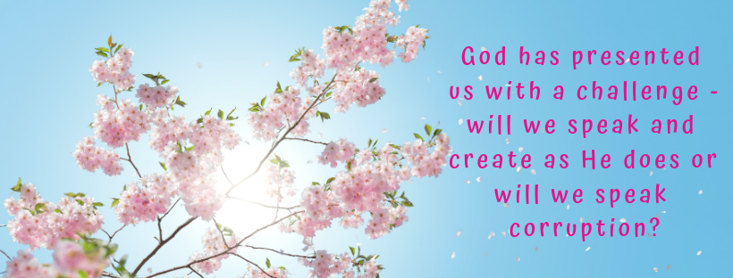 CreatingLight Header 3.png