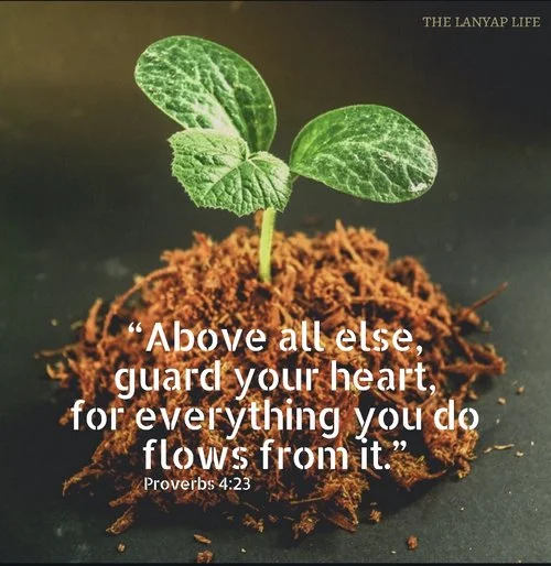 Nurture &amp; Guard Your Heart